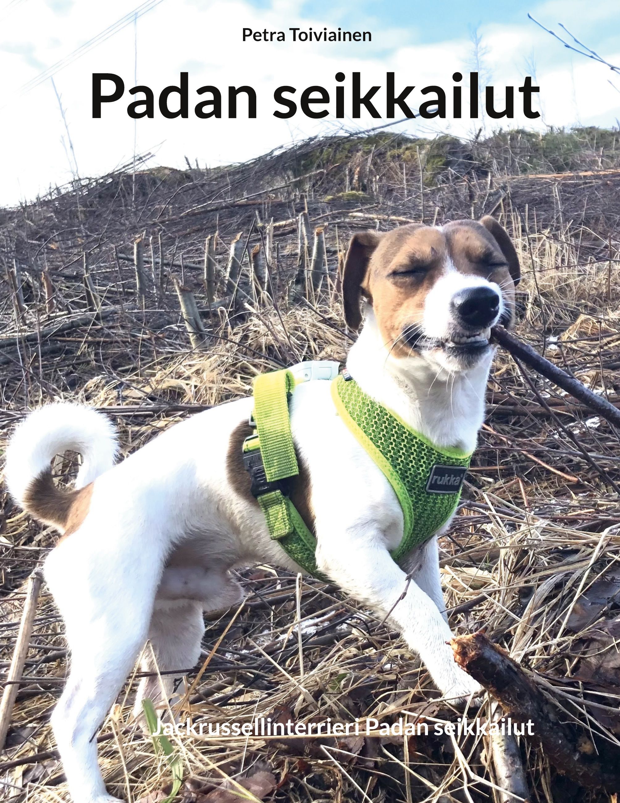 Petra Toiviainen : Padan seikkailut
