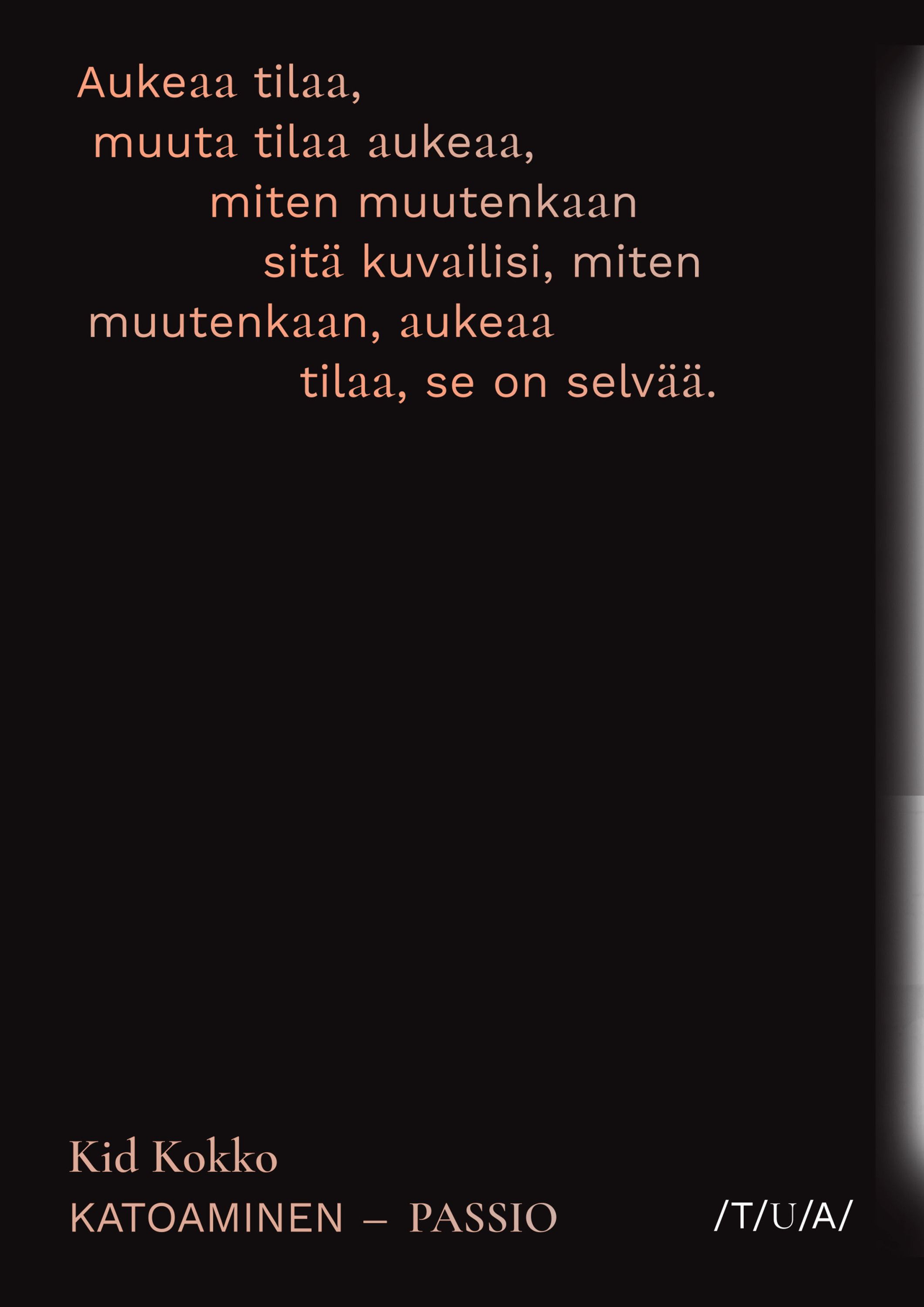 Kid Kokko : Katoaminen - passio / Disappearing - a passion