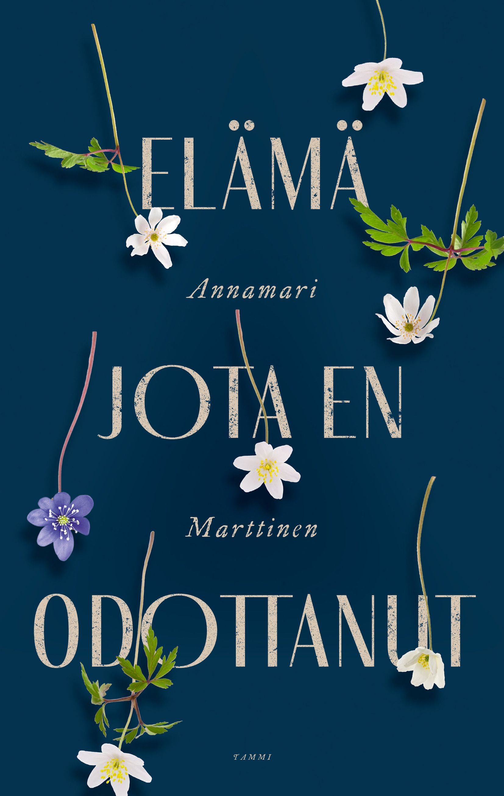 Annamari Marttinen : Elämä jota en odottanut