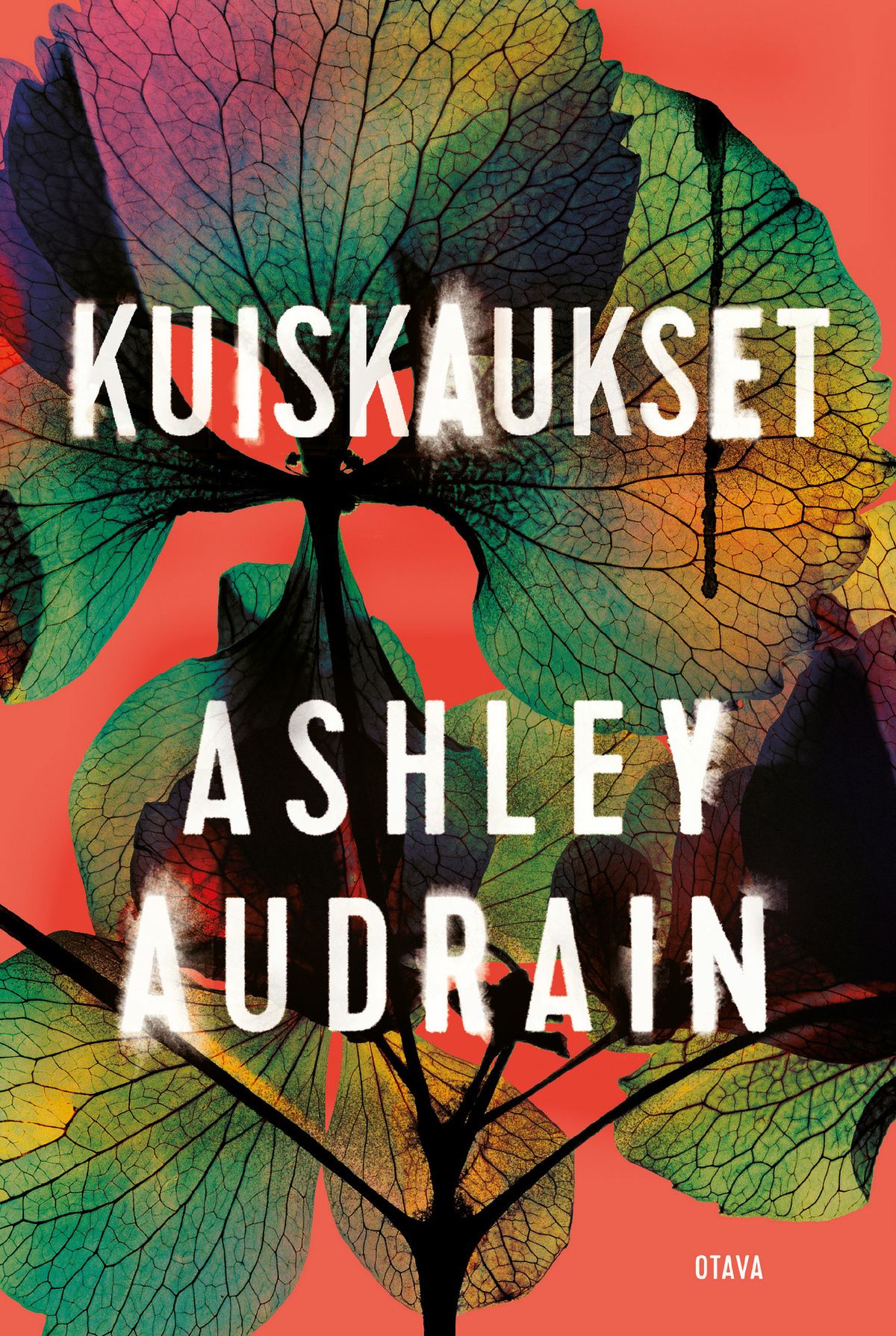 Ashley Audrain : Kuiskaukset