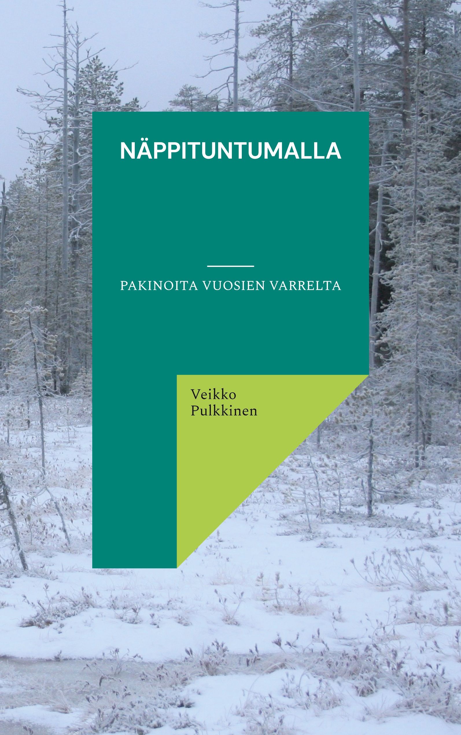 Veikko Pulkkinen : Näppituntumalla