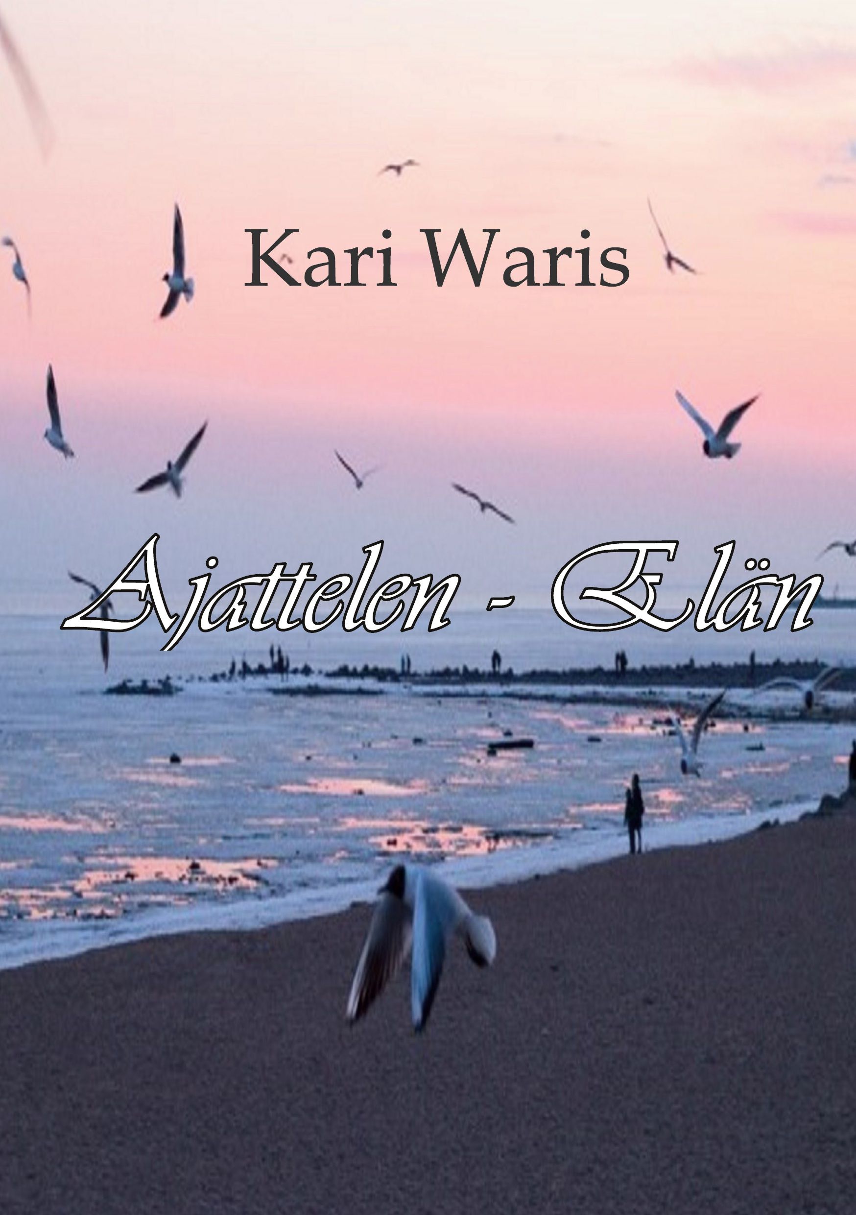 Kari Waris : Ajattelen - Elän