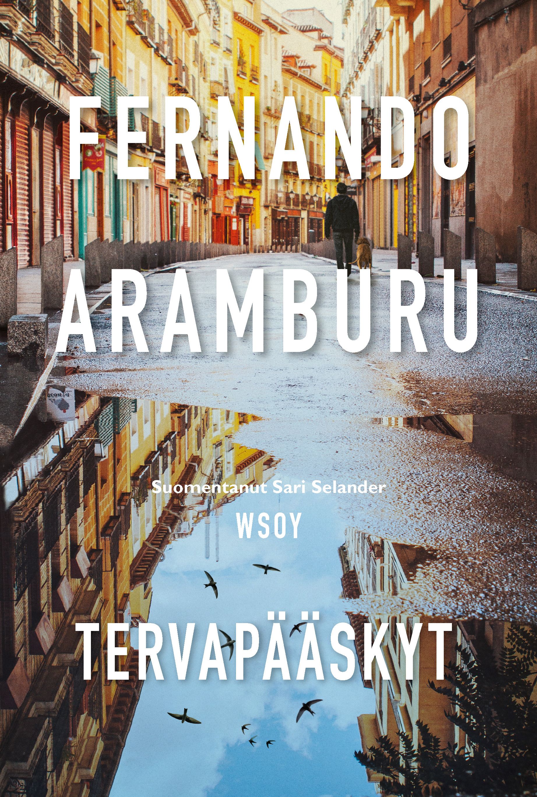 Fernando Aramburu : Tervapääskyt