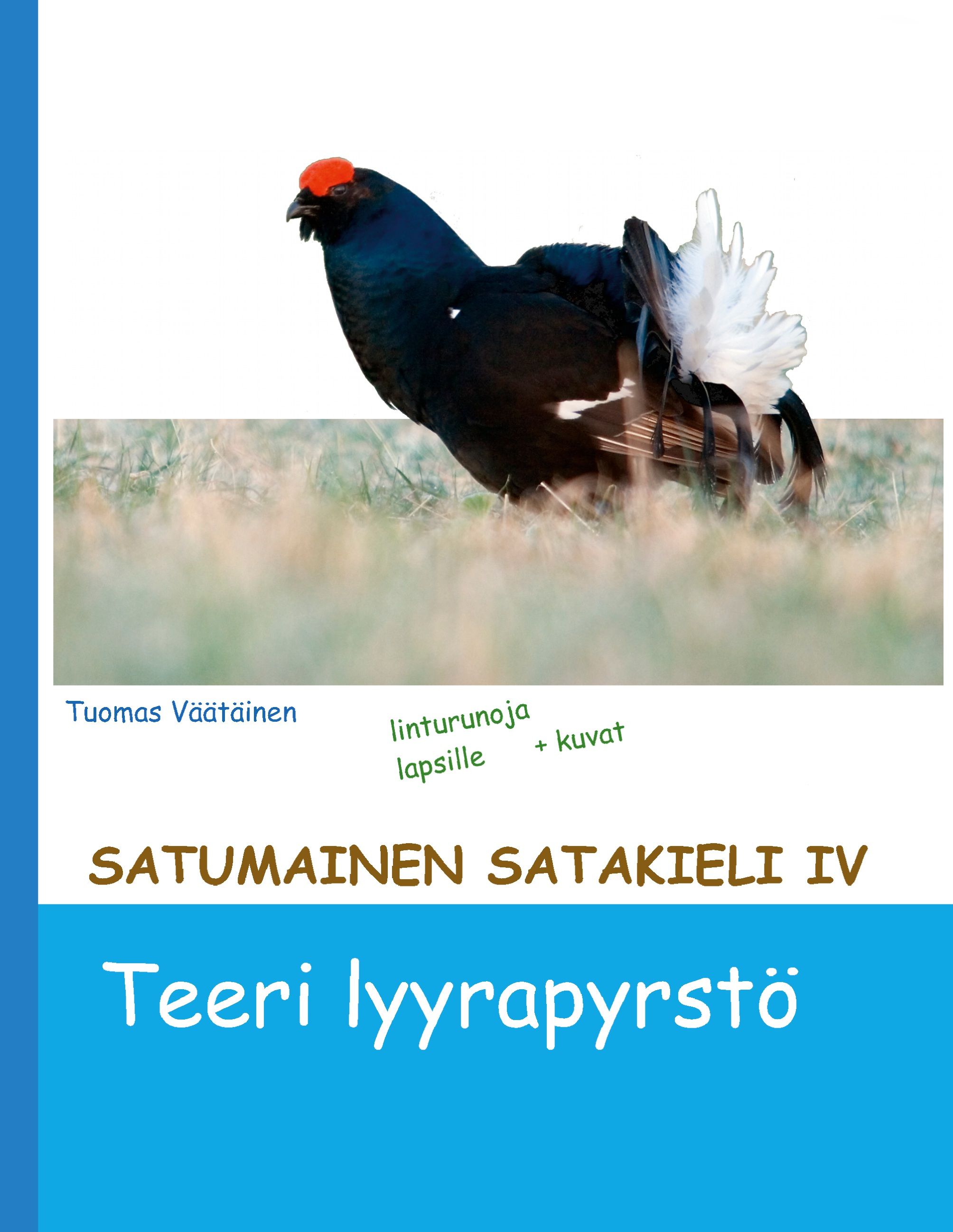 Tuomas Väätäinen : Satumainen satakieli IV
