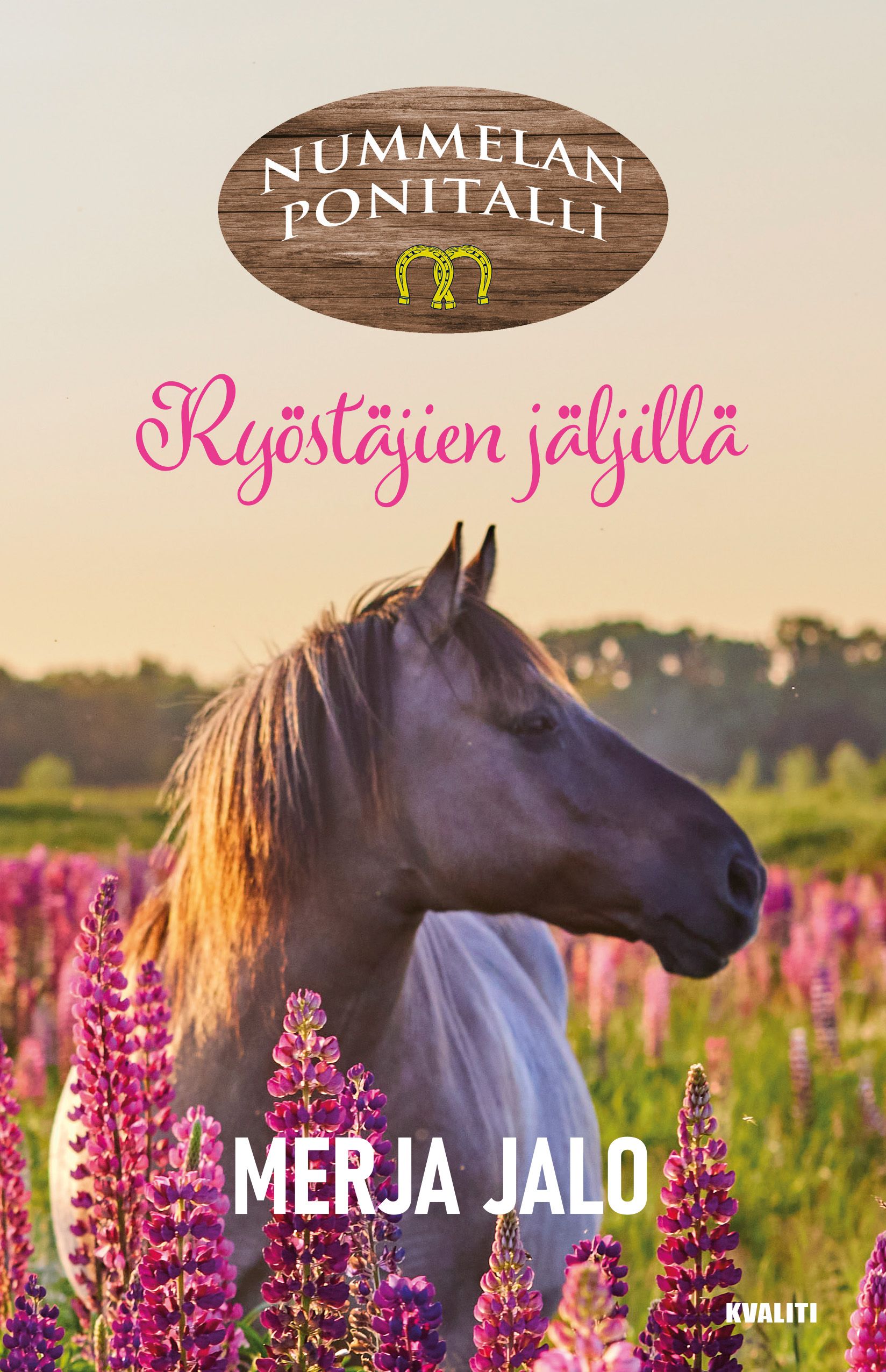 Merja Jalo : Ryöstäjien jäljillä