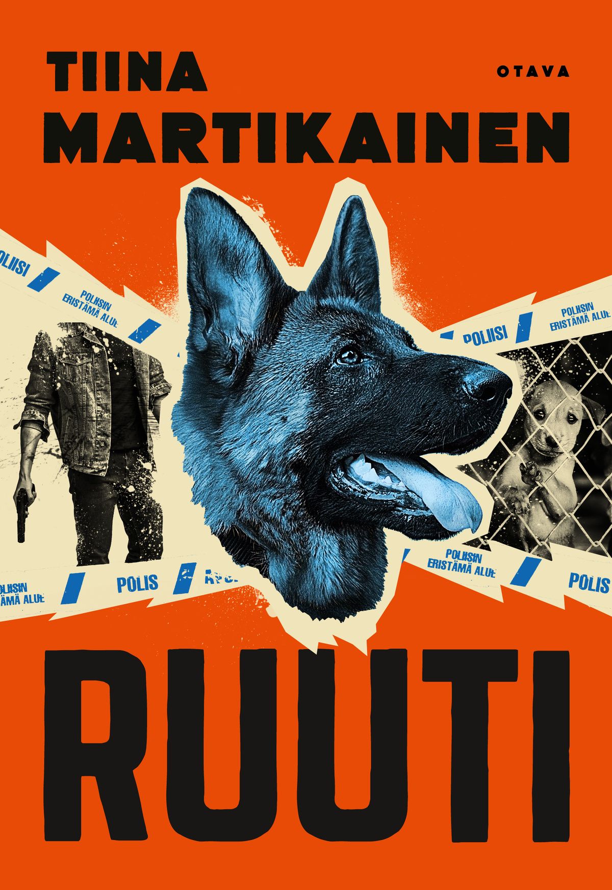 Kirjailijan Tiina Martikainen käytetty kirja Ruuti (ERINOMAINEN)