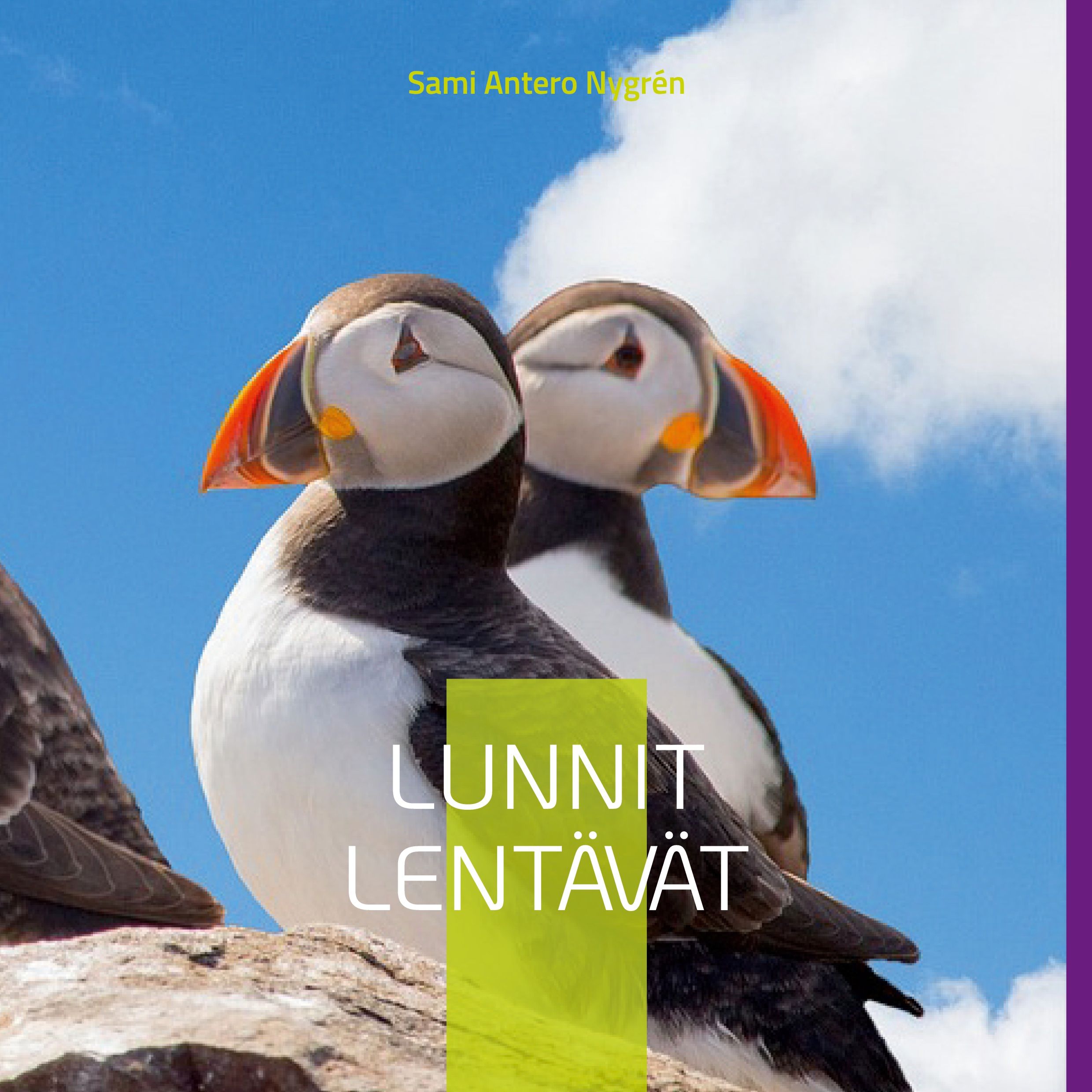 Sami Antero Nygrén : Lunnit Lentävät