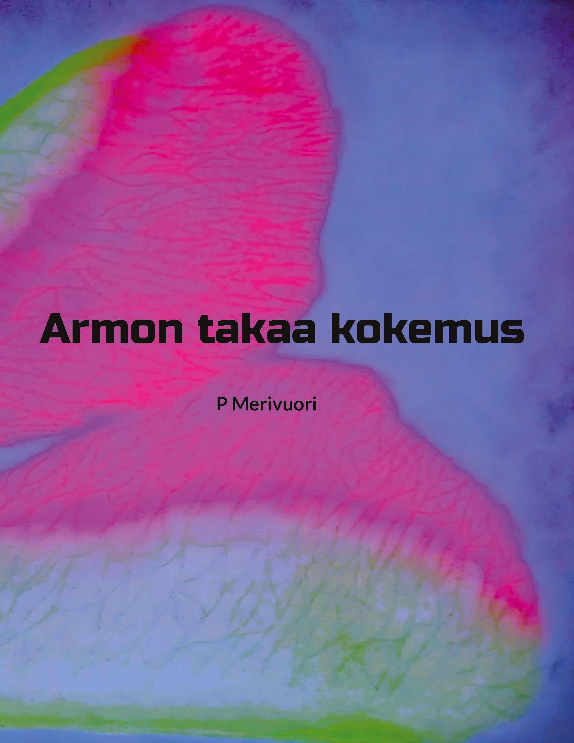 P Merivuori : Armon takaa kokemus