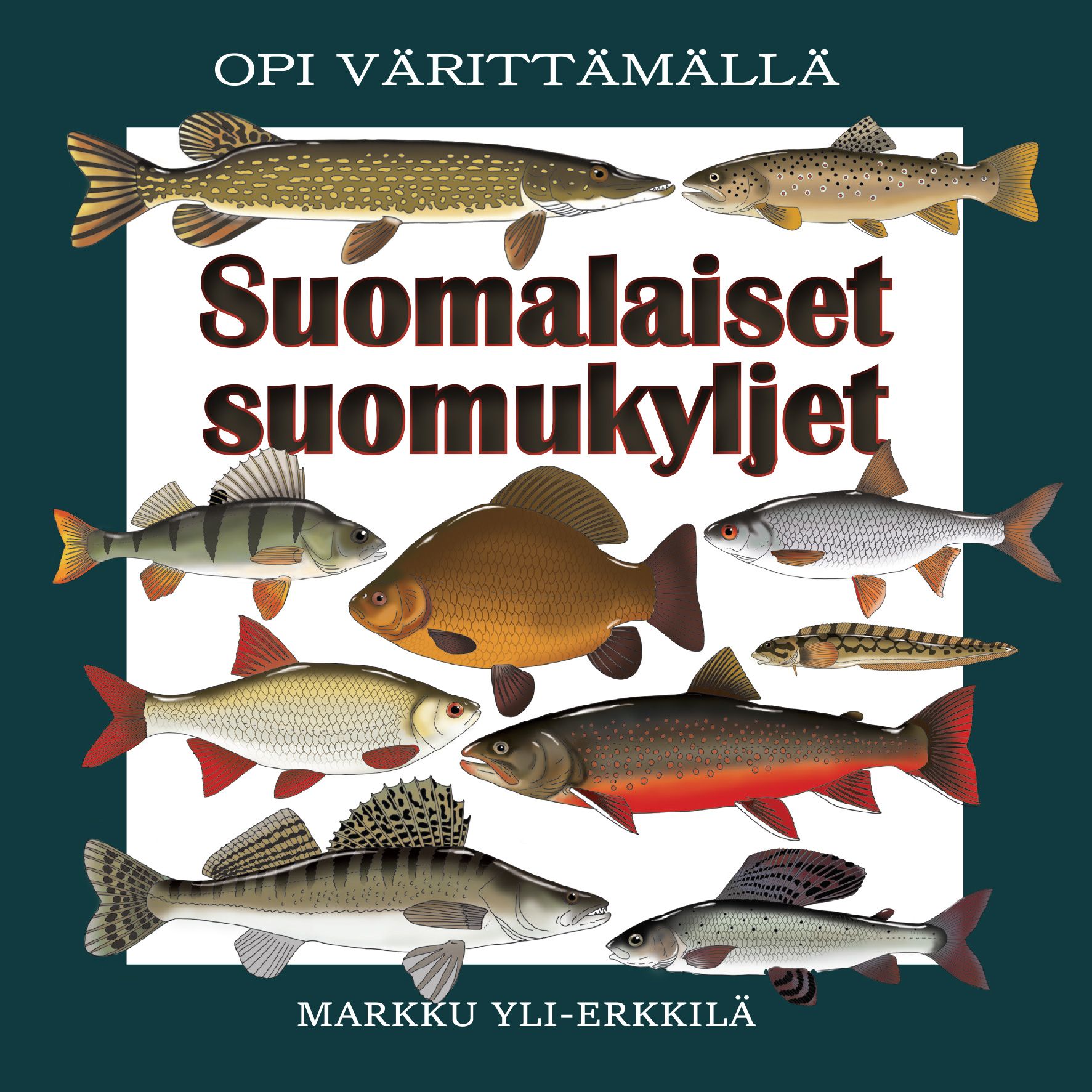 Saimaa 365 – Mikko Nikkinen