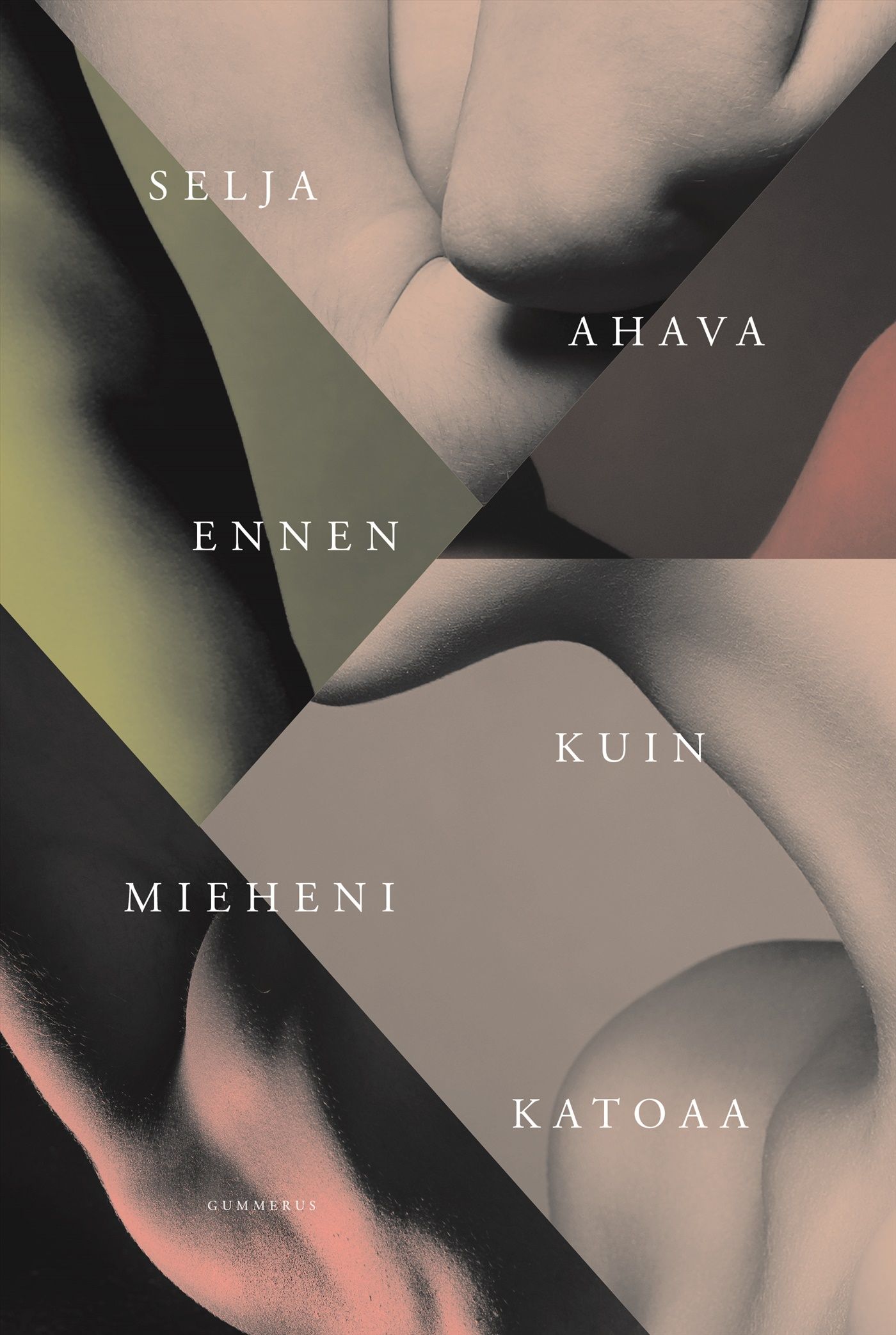 Selja Ahava : Ennen kuin mieheni katoaa