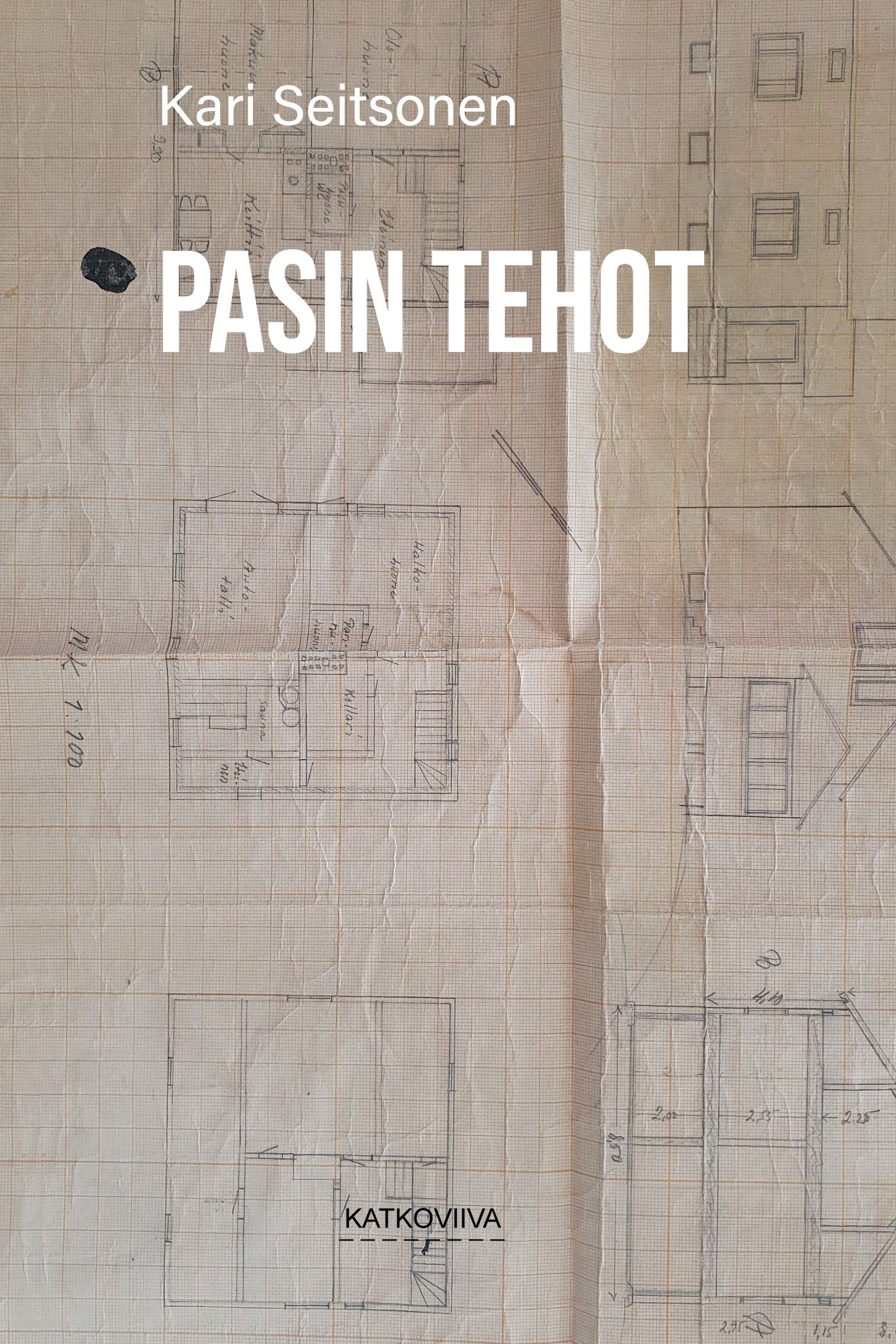 Kari Seitsonen : Pasin tehot