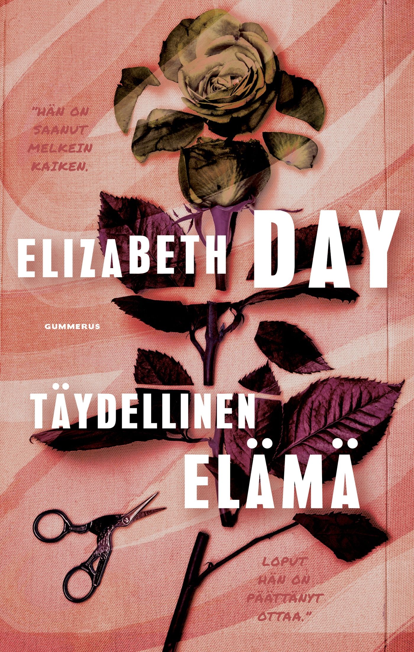Kirjailijan Elizabeth Day uusi kirja Täydellinen elämä (UUSI)