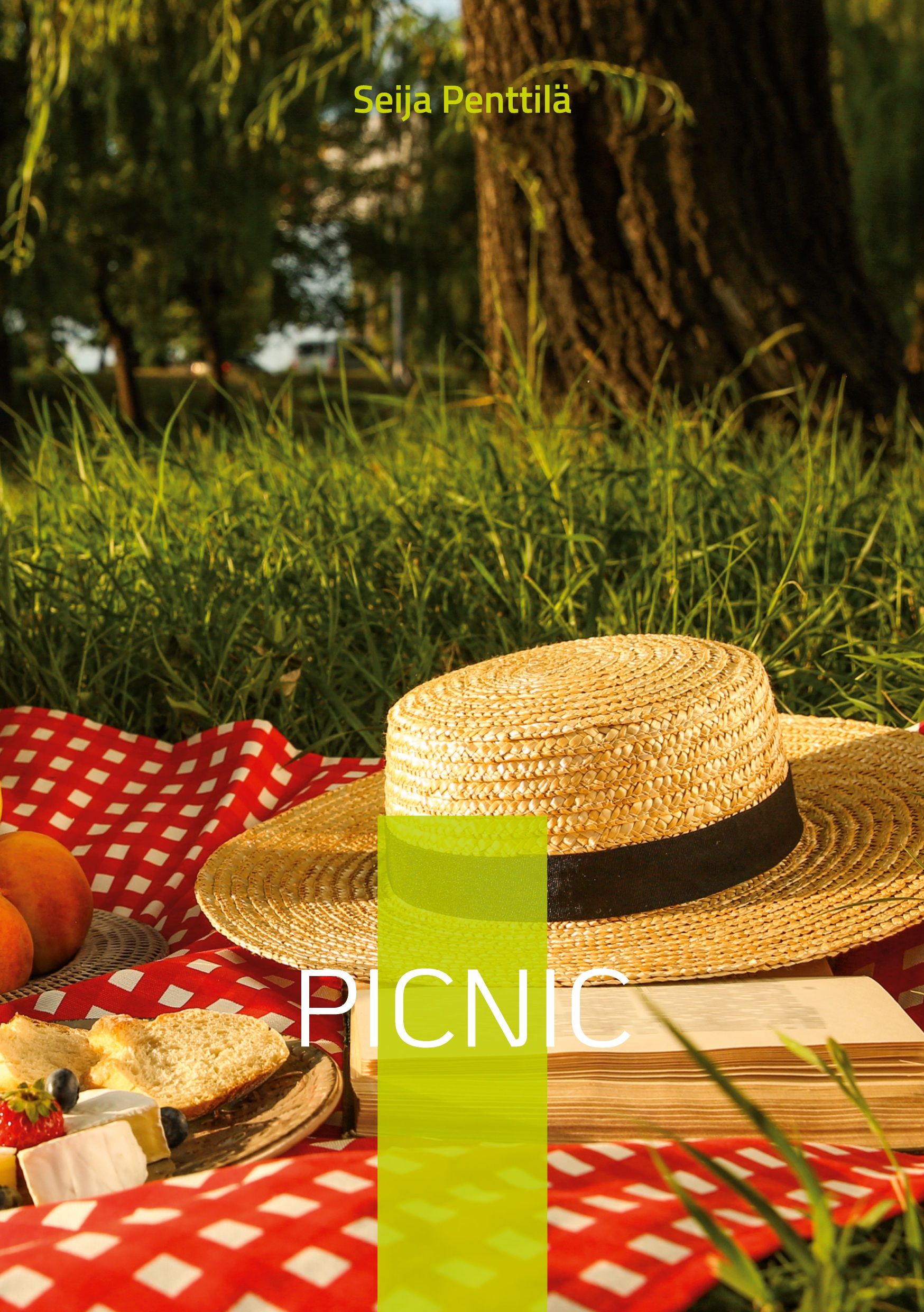 Seija Penttilä : Picnic