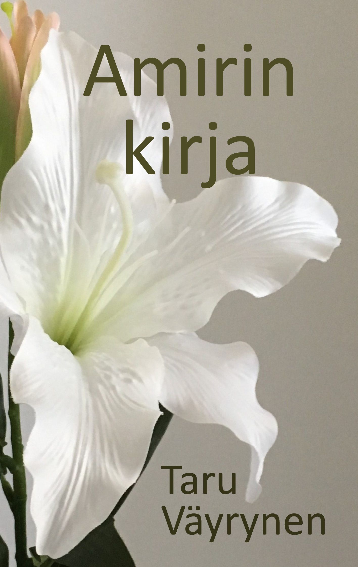 Taru Väyrynen : Amirin kirja