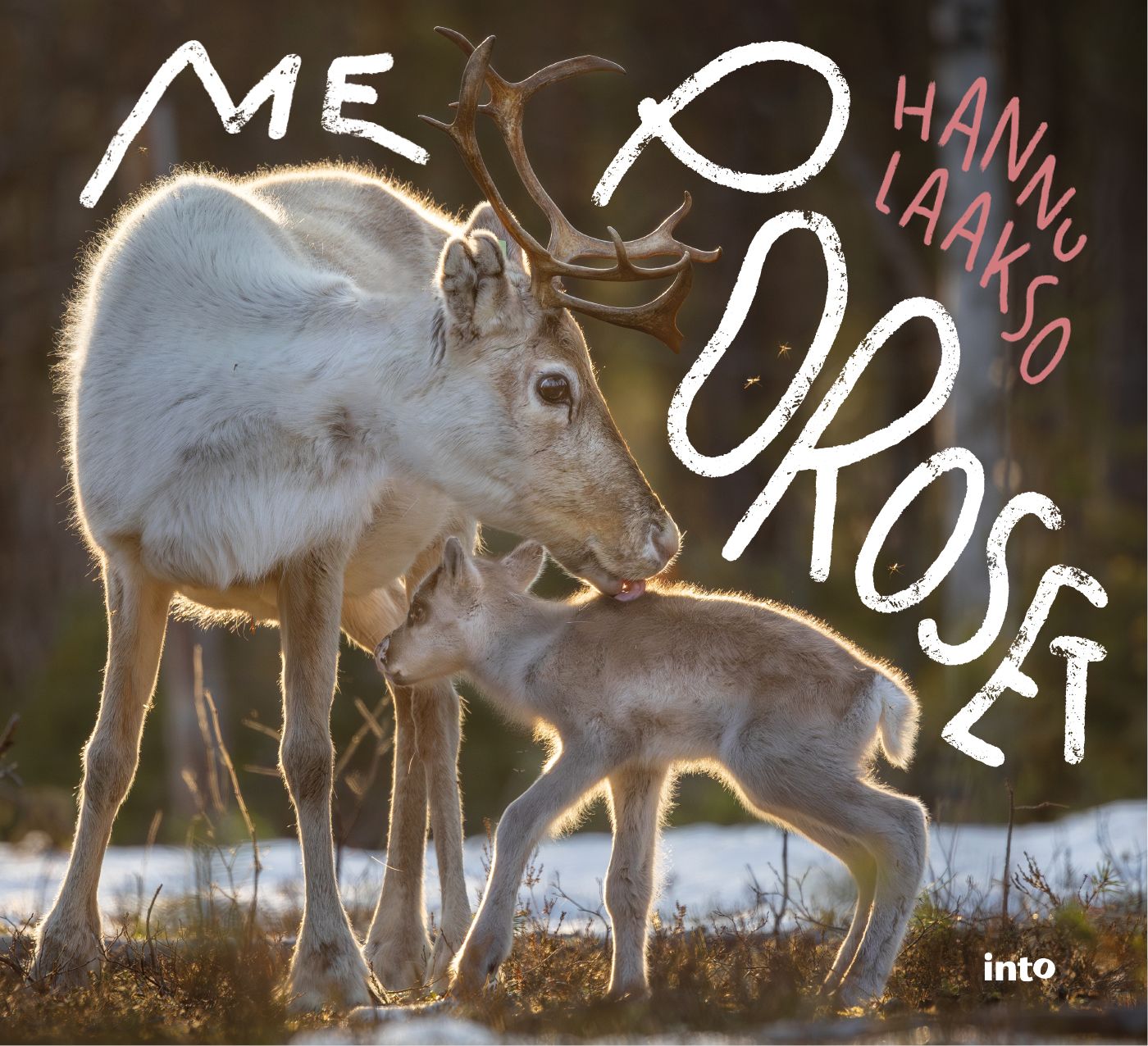 Hannu Laakso : Me Poroset