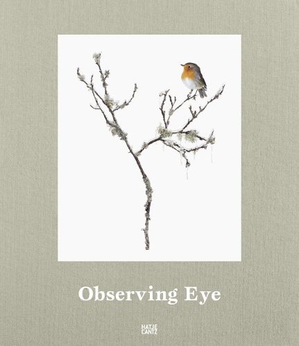 Observing Eye