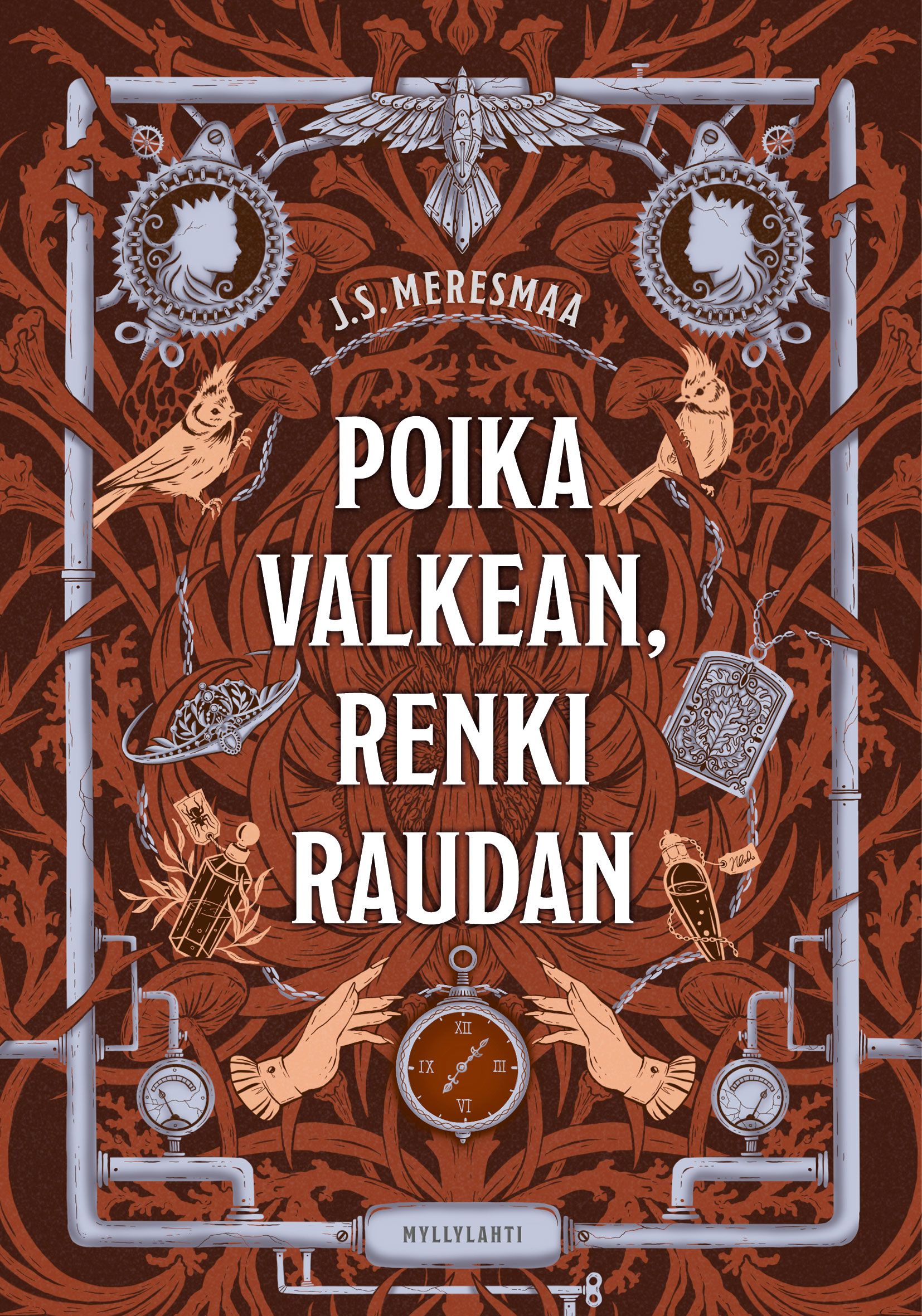 J. S. Meresmaa : Poika valkean, renki raudan