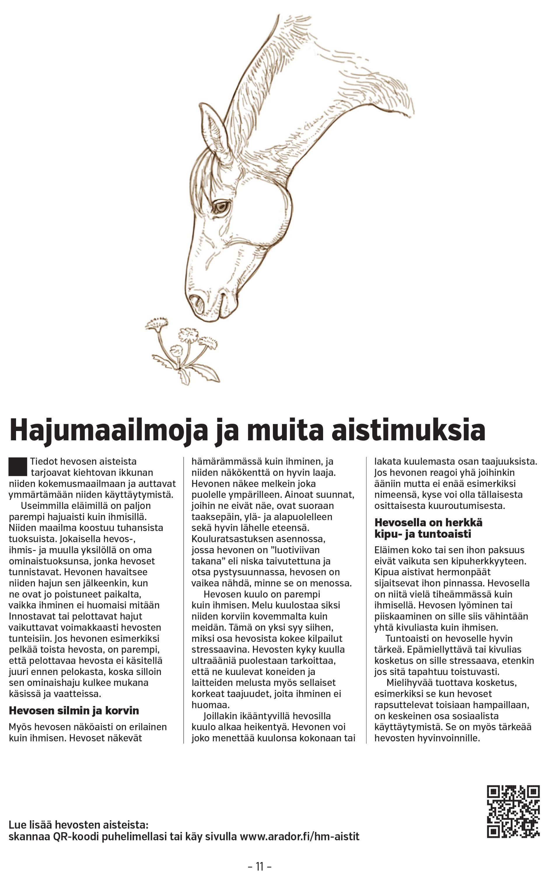 Sivu 11 - Hevosen mieli