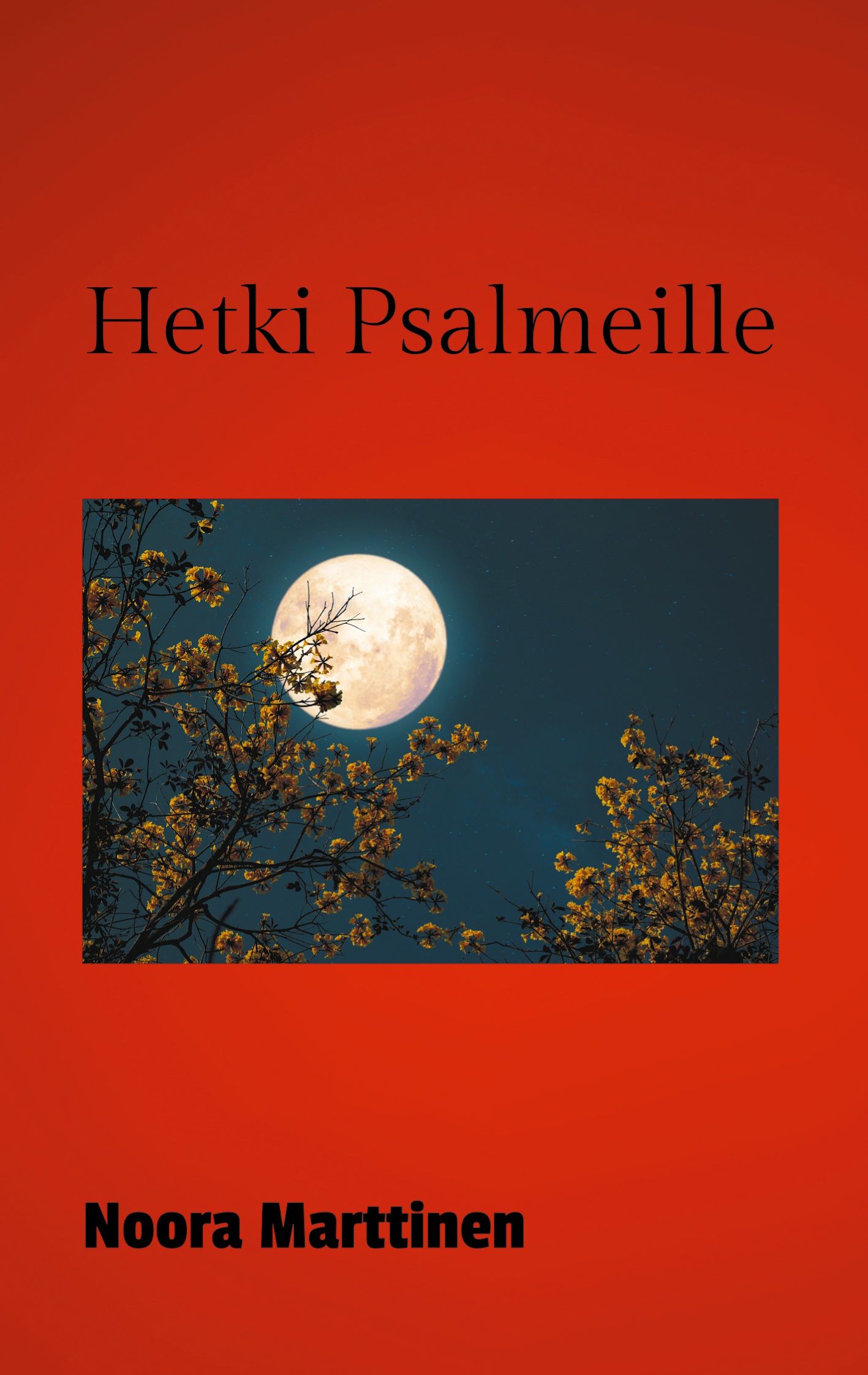 Noora Marttinen : Hetki Psalmeille