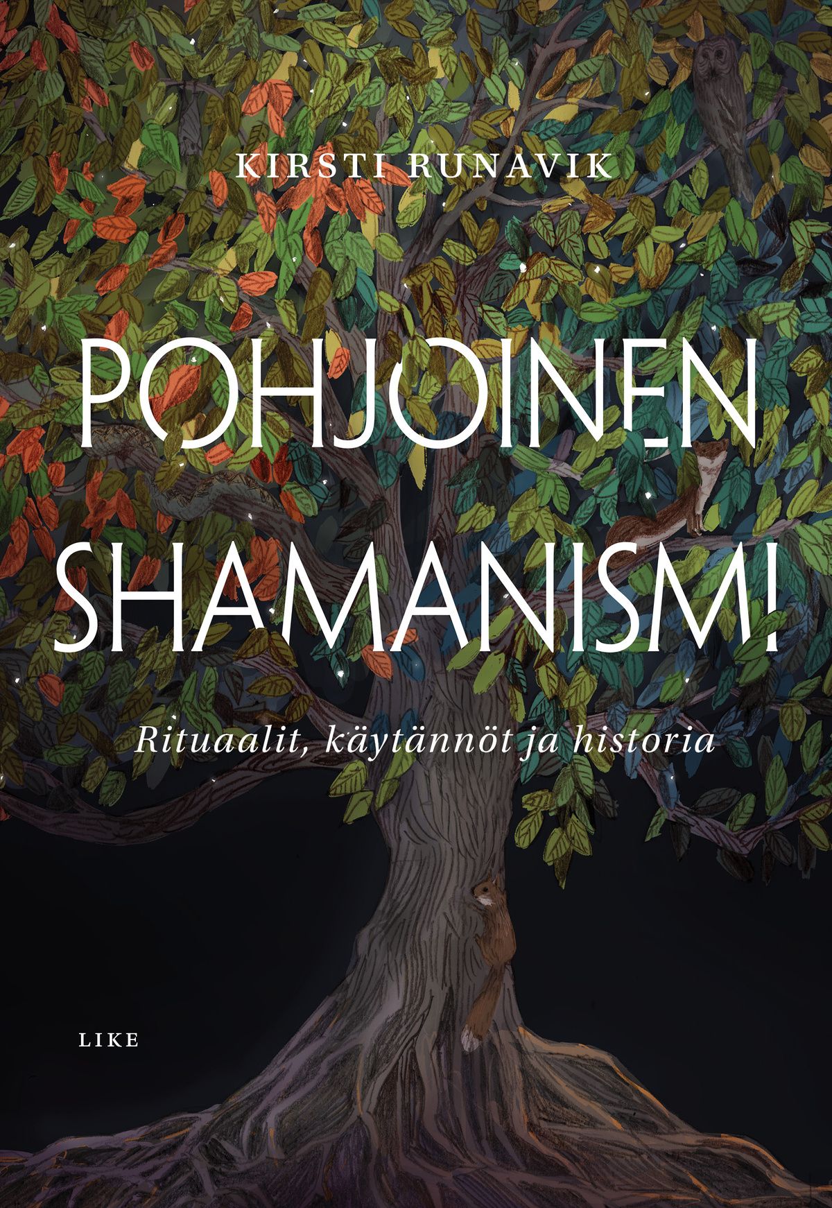 Kirsti Runavik : Pohjoinen shamanismi