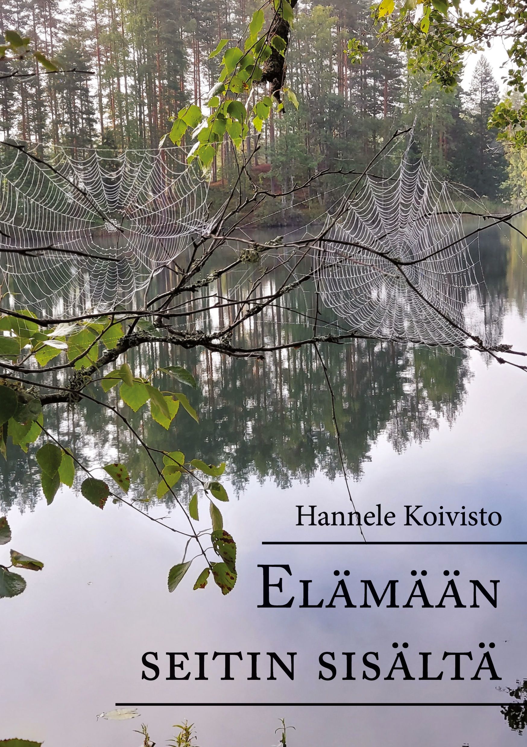 Hannele Koivisto : Elämään seitin sisältä