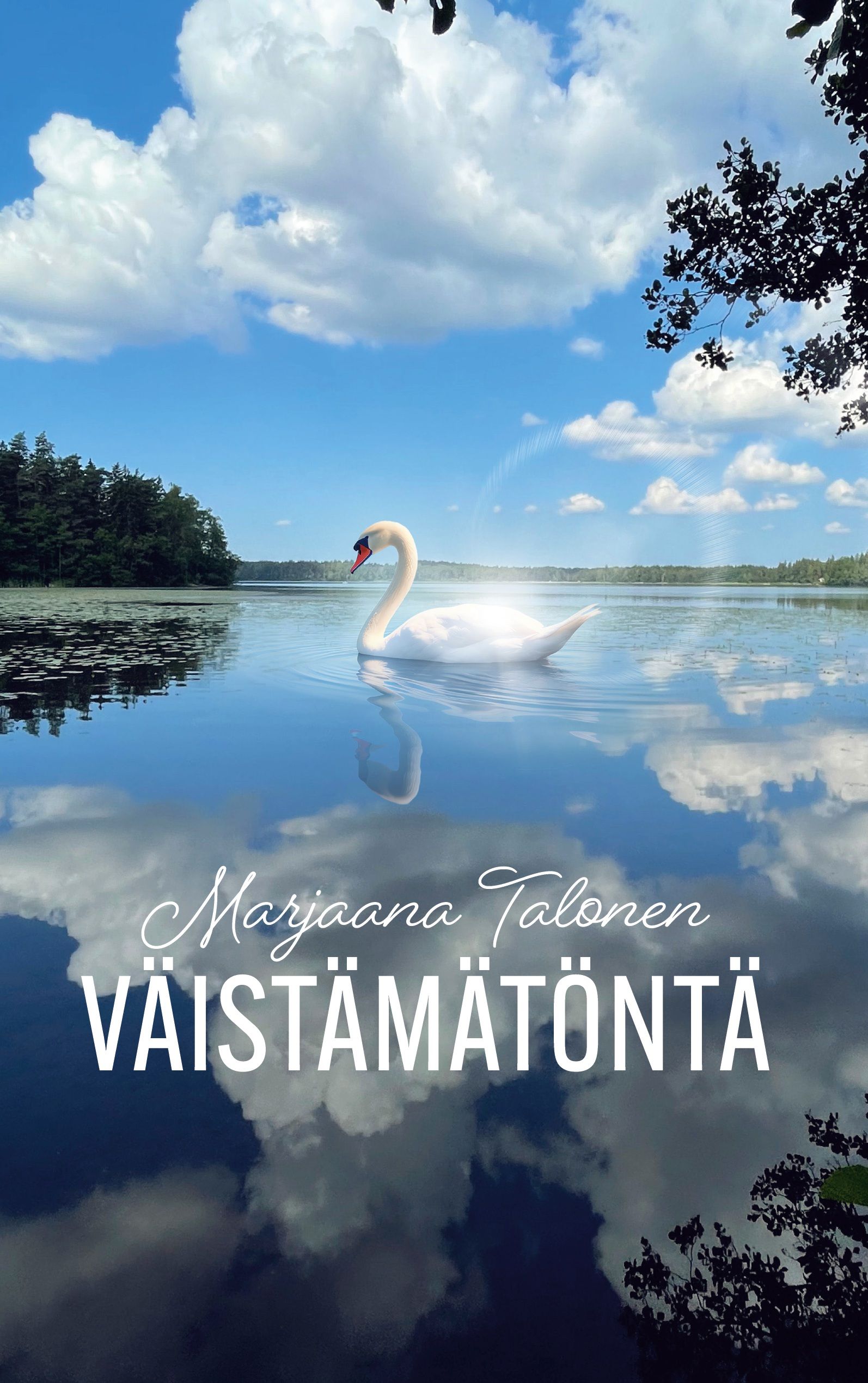 Kirjailijan Marjaana Talonen käytetty kirja Väistämätöntä
