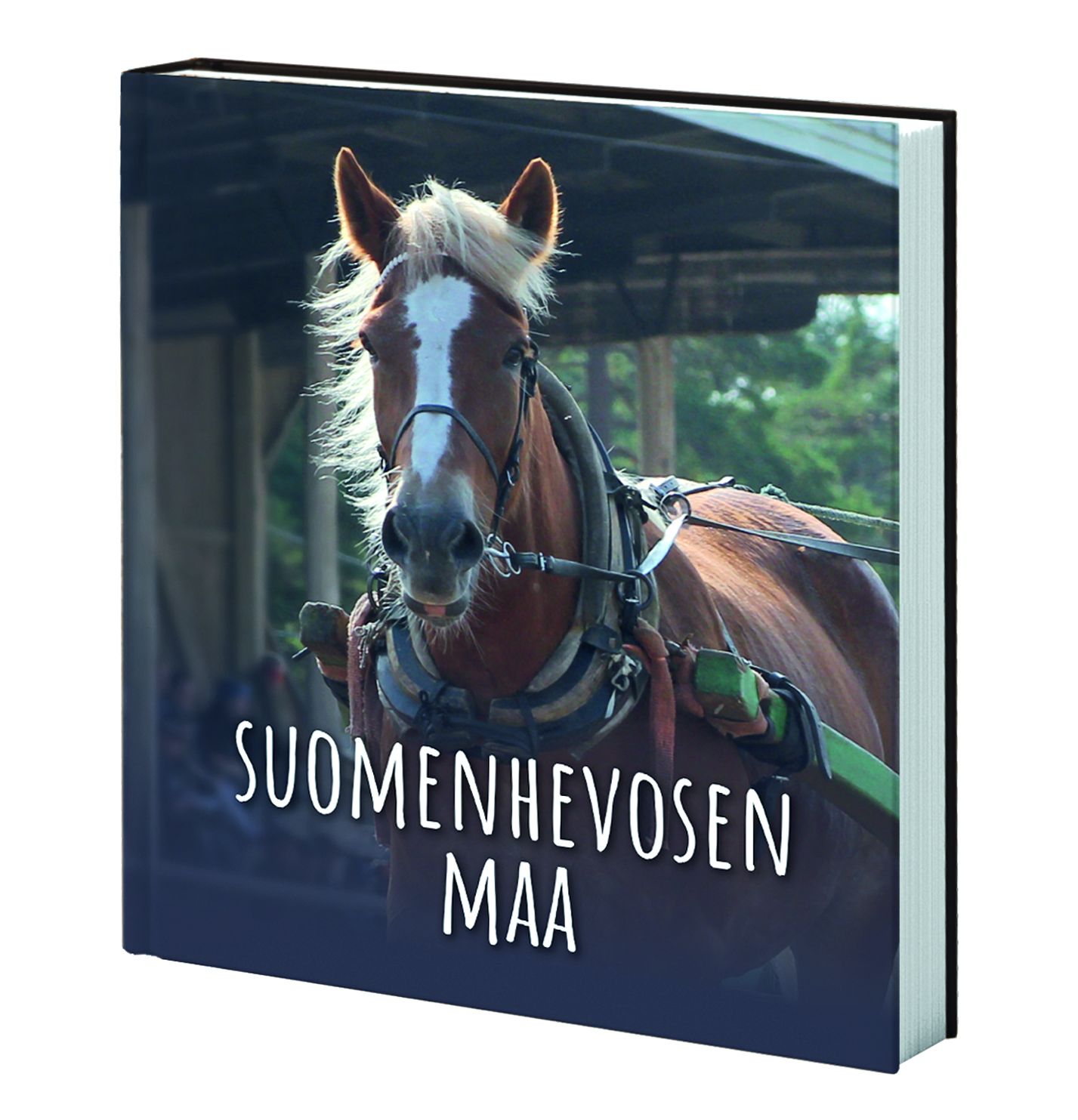 Suomenhevosen maa