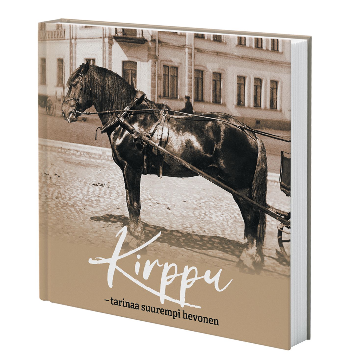 Roger Johansson : Kirppu - tarinaa suurempi hevonen