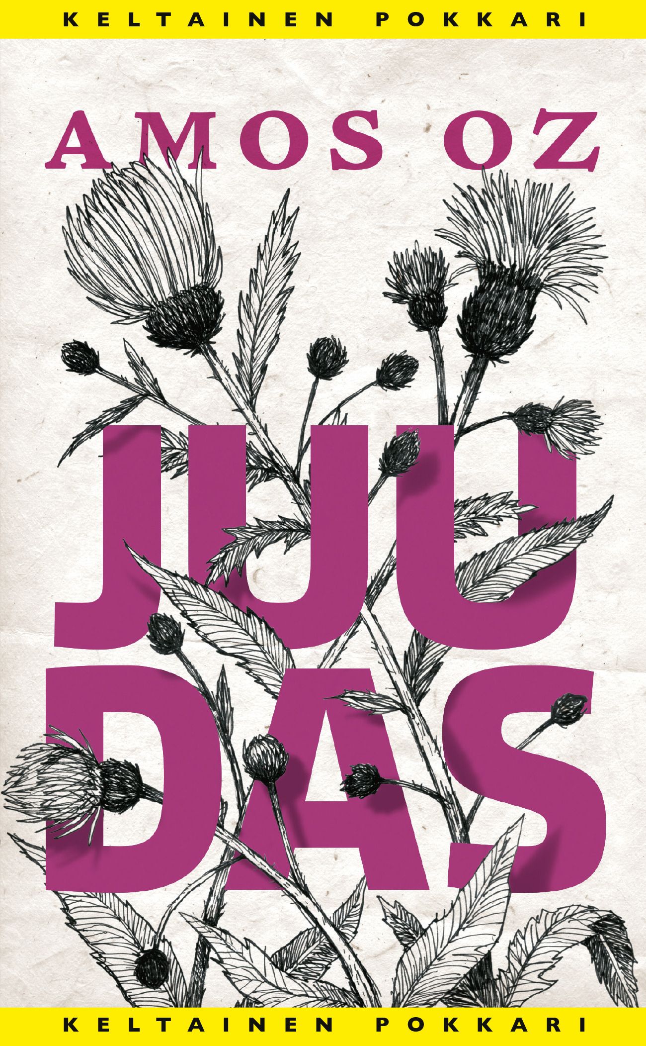 Kirjailijan Amos Oz käytetty kirja Juudas