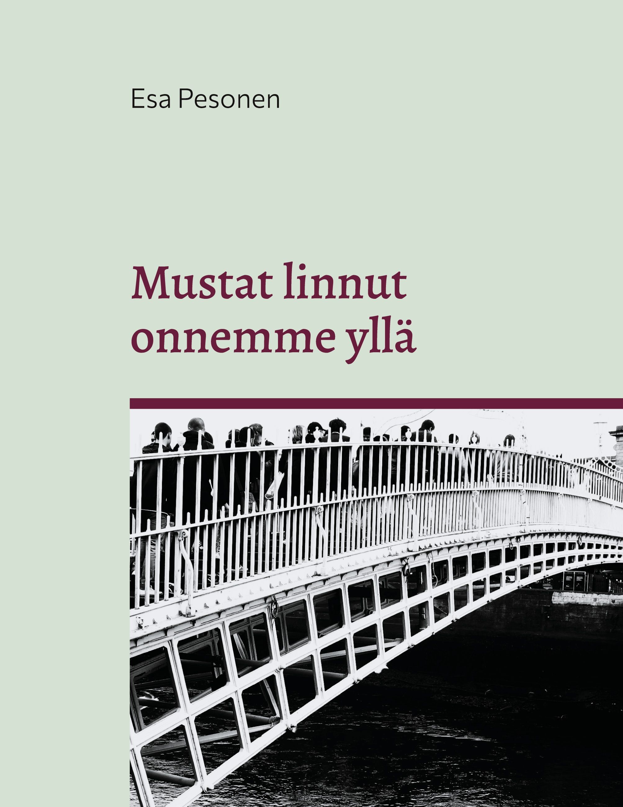 Esa Pesonen : Mustat linnut onnemme yllä