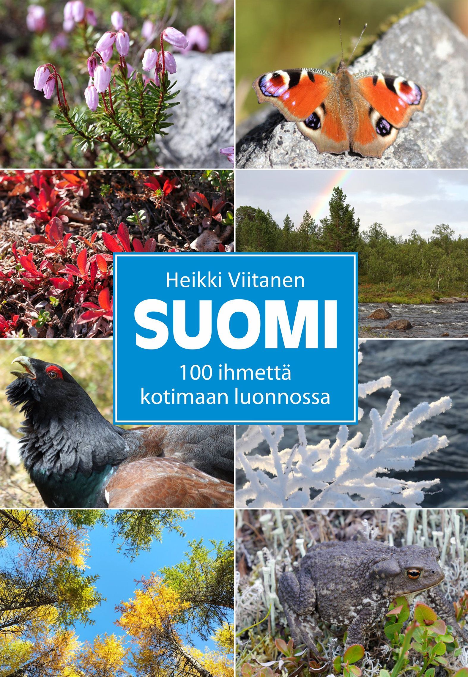 Heikki Viitanen : Suomi