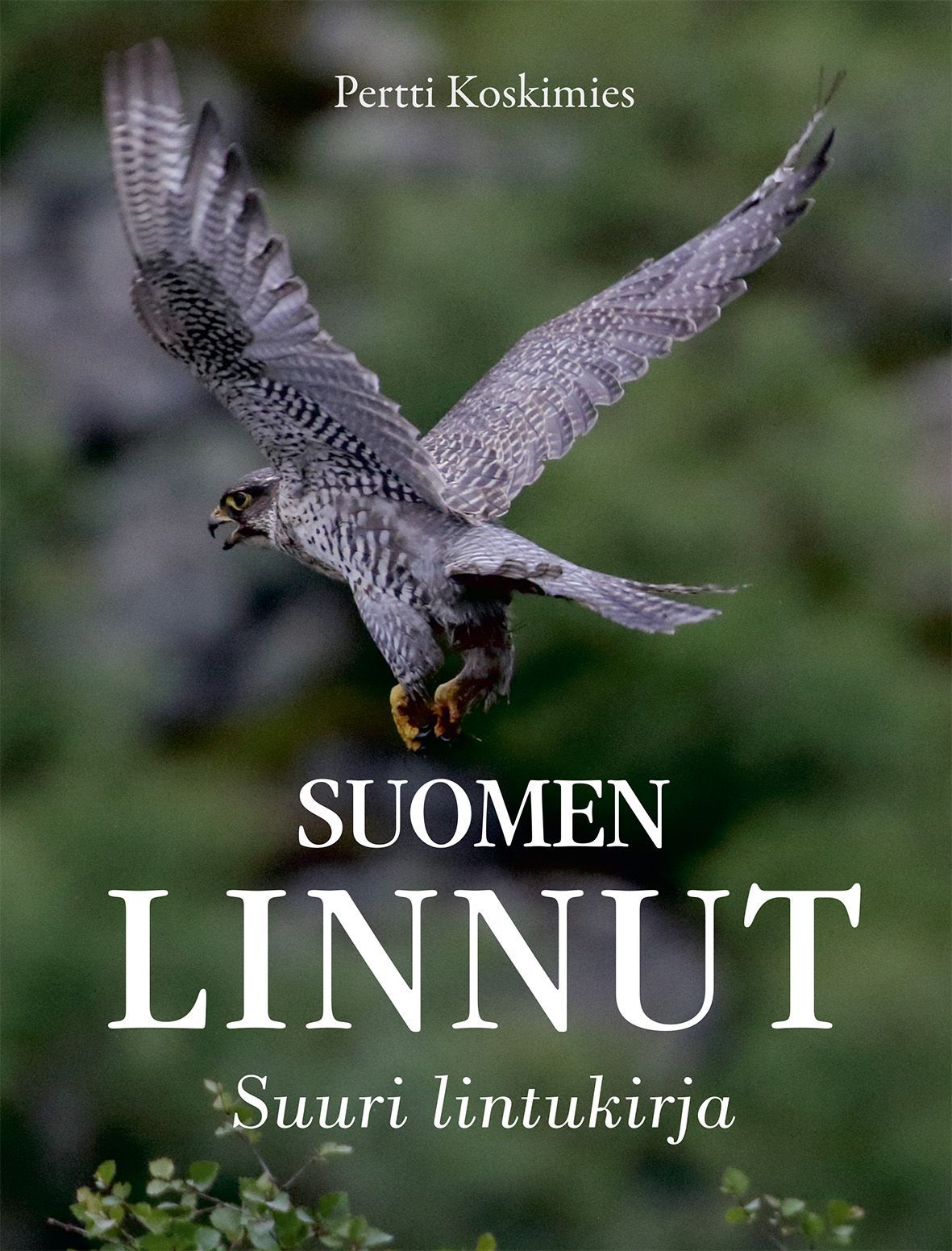 Pertti Koskimies : Suomen linnut - Suuri lintukirja