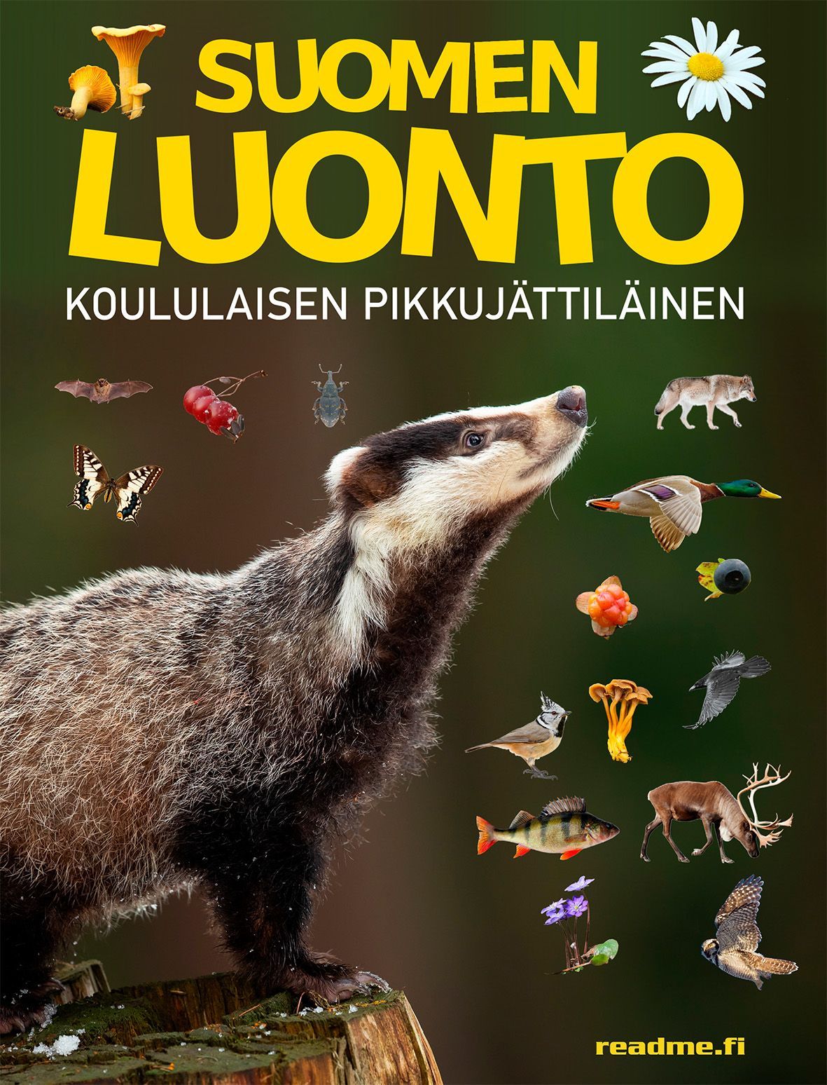 Viljami Ovaskainen & Minna Ovaskainen : Suomen luonto - Koululaisen pikkujättiläinen