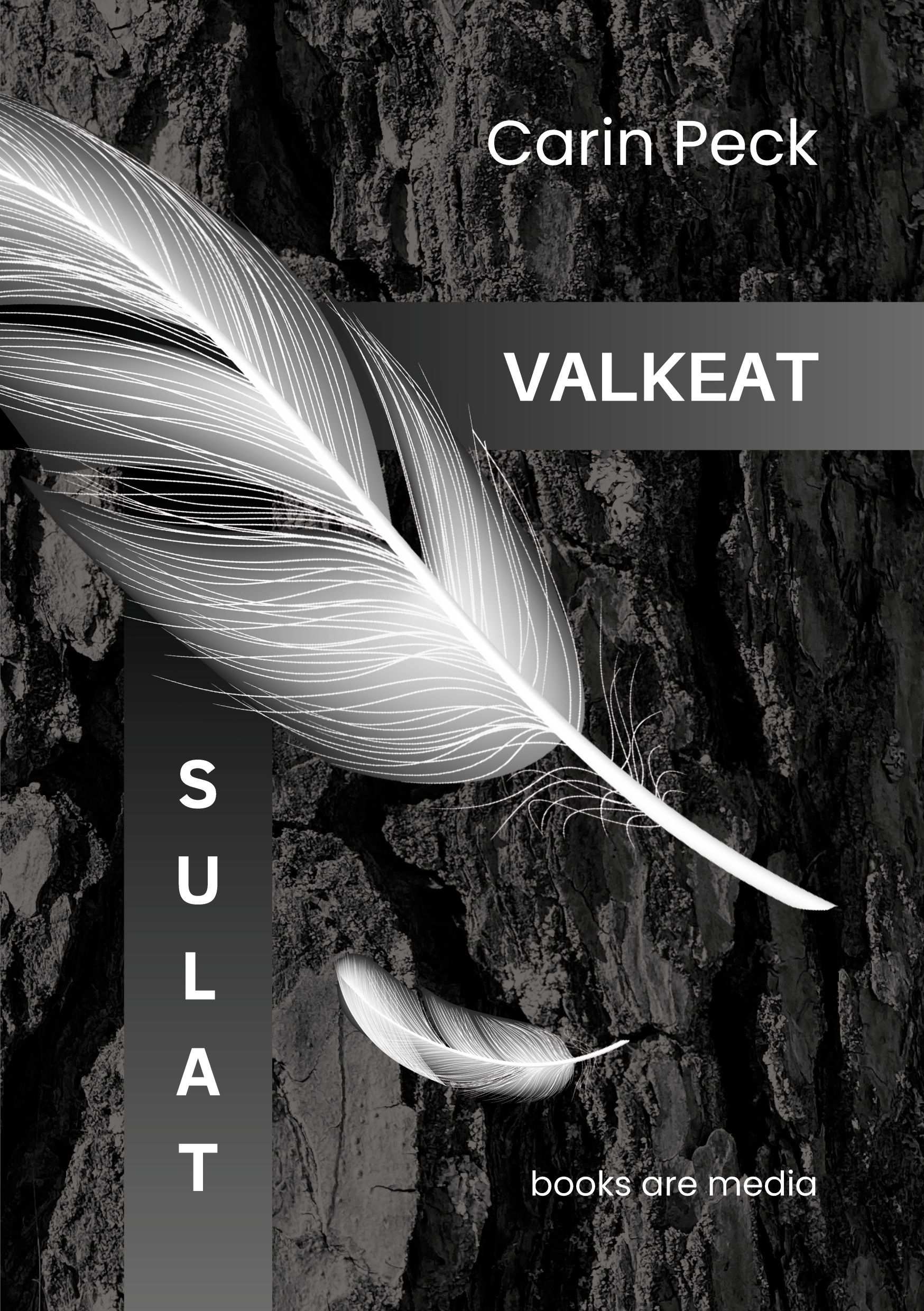 Carin Peck : Valkeat sulat