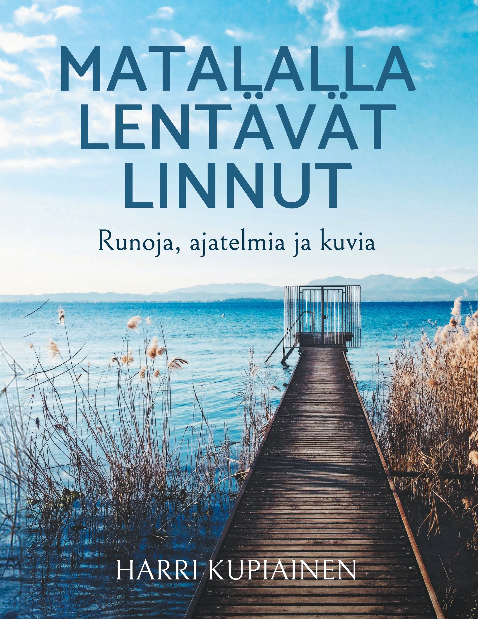 Harri Kupiainen : Matalalla lentävät linnut