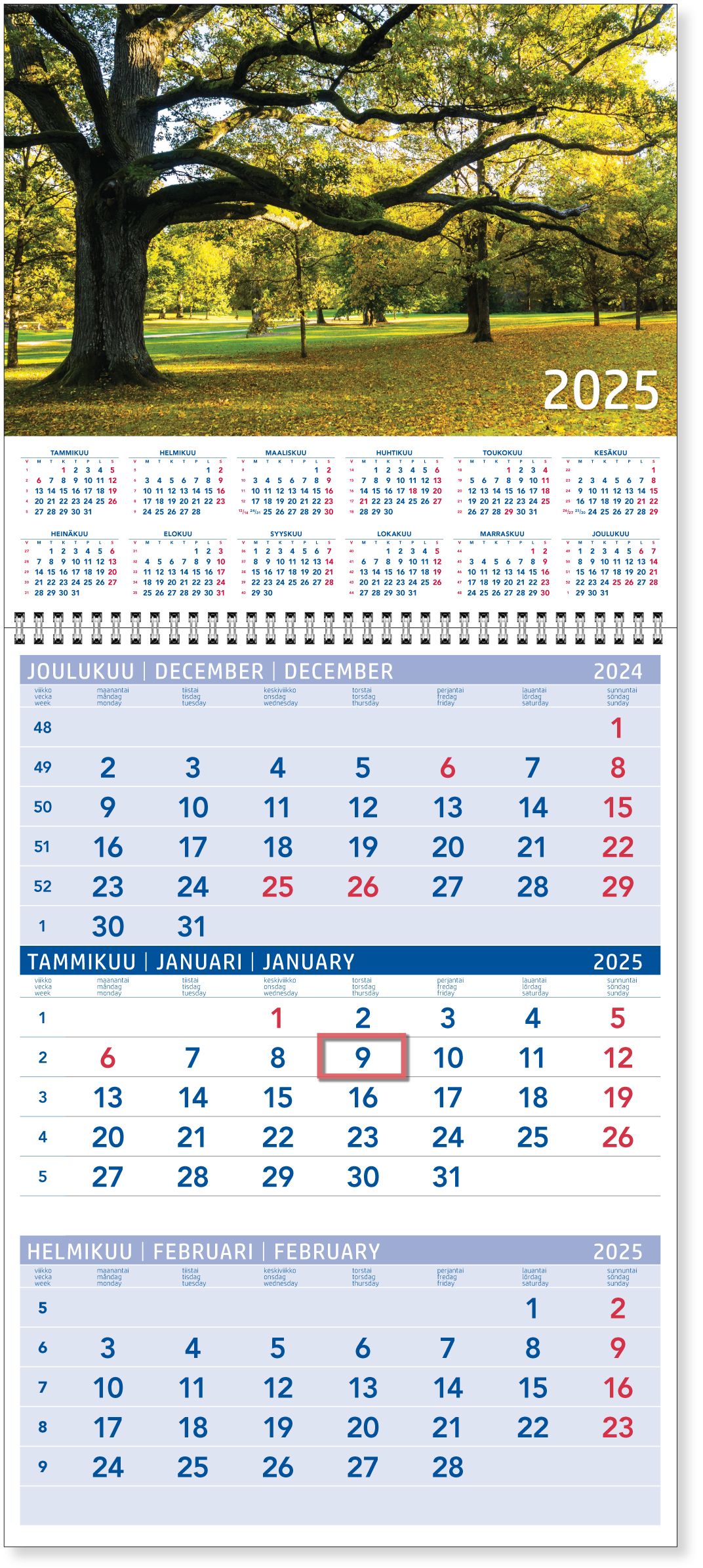 Triplanner suuri 2025