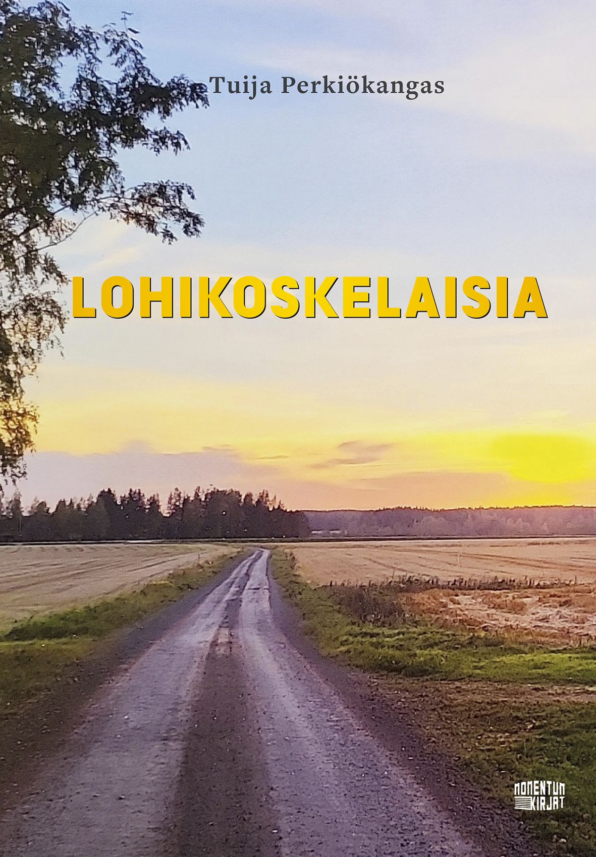 Tuija Perkiökangas : Lohikoskelaisia