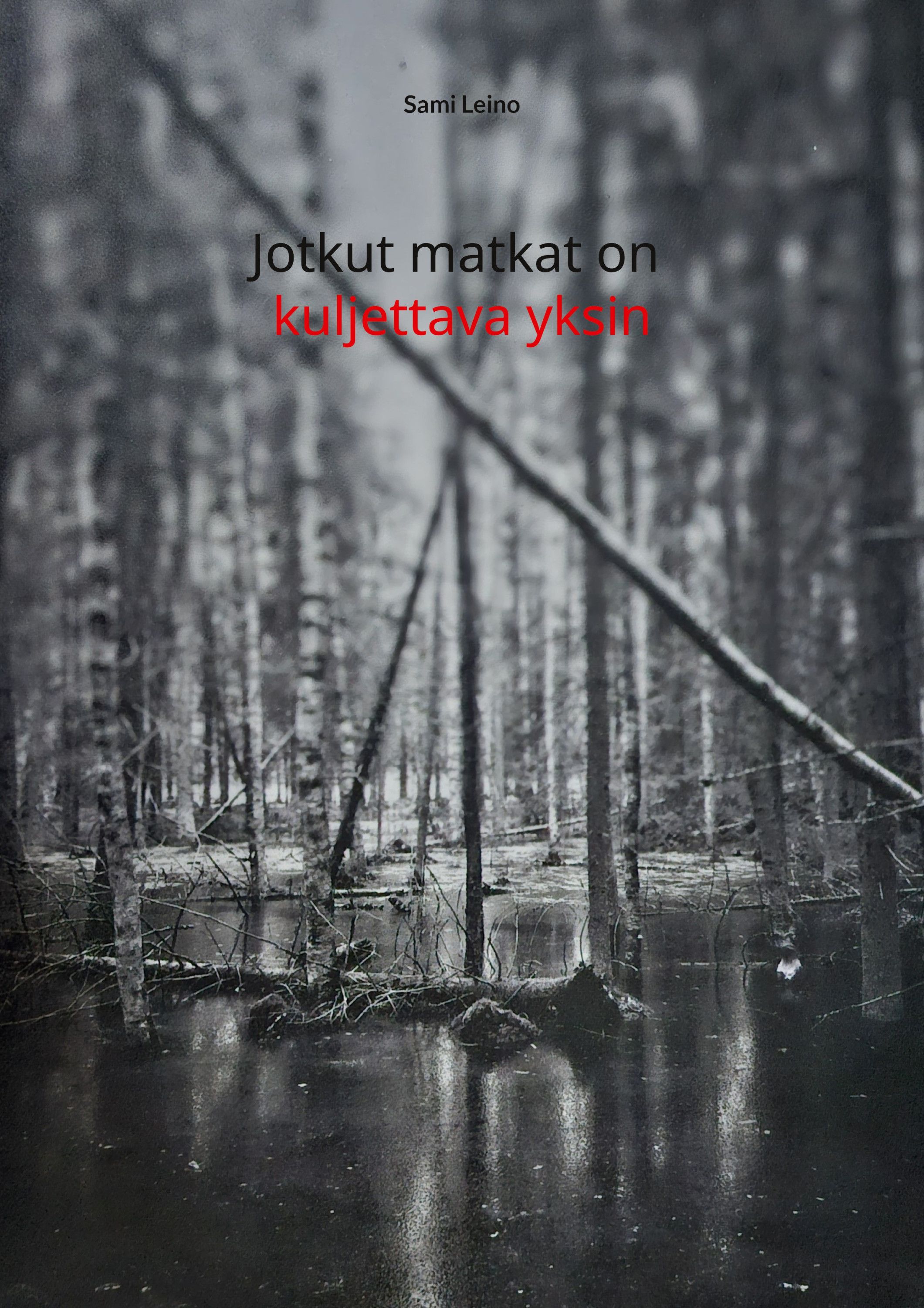 Sami Leino : Jotkut matkat on kuljettava yksin