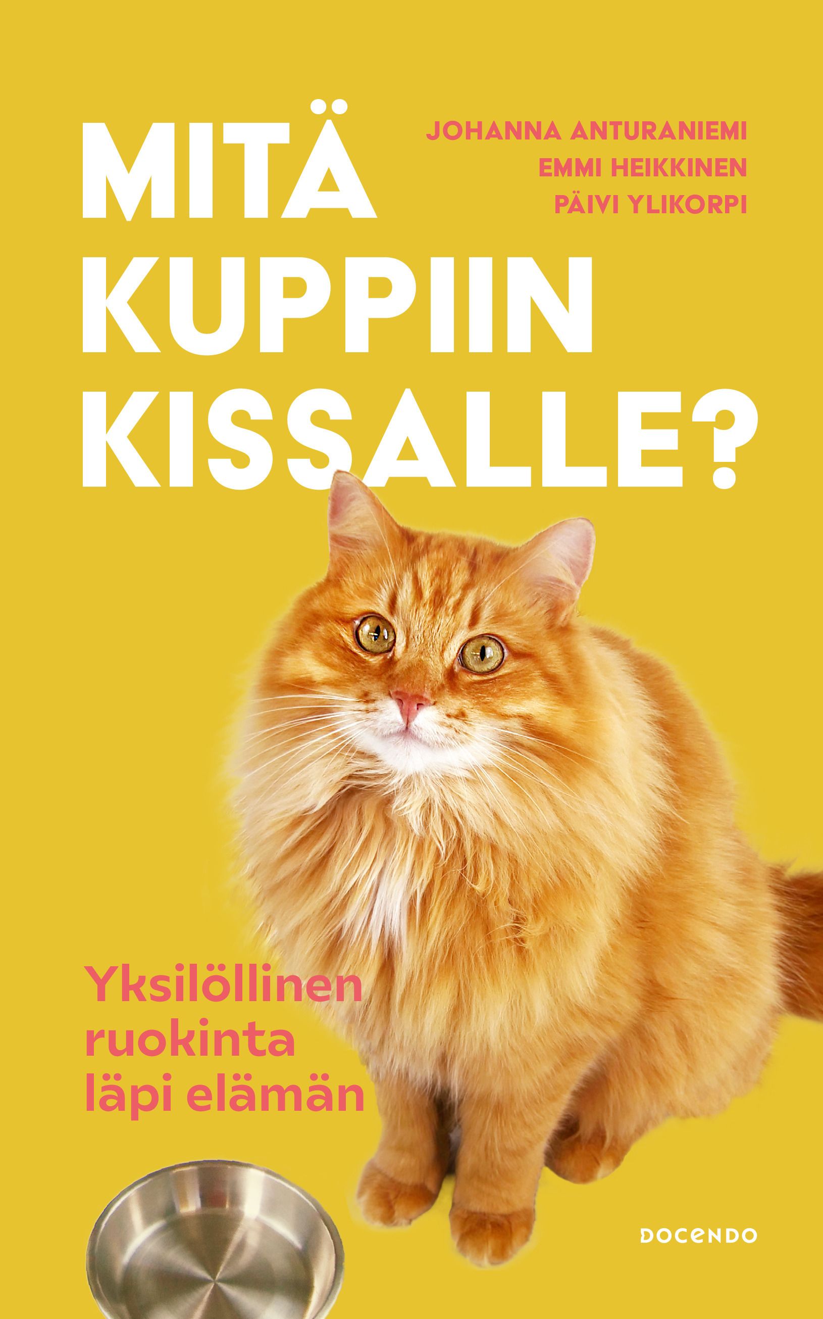 Johanna Anturaniemi & Emmi Heikkinen & Päivi Ylikorpi : Mitä kuppiin kissalle?