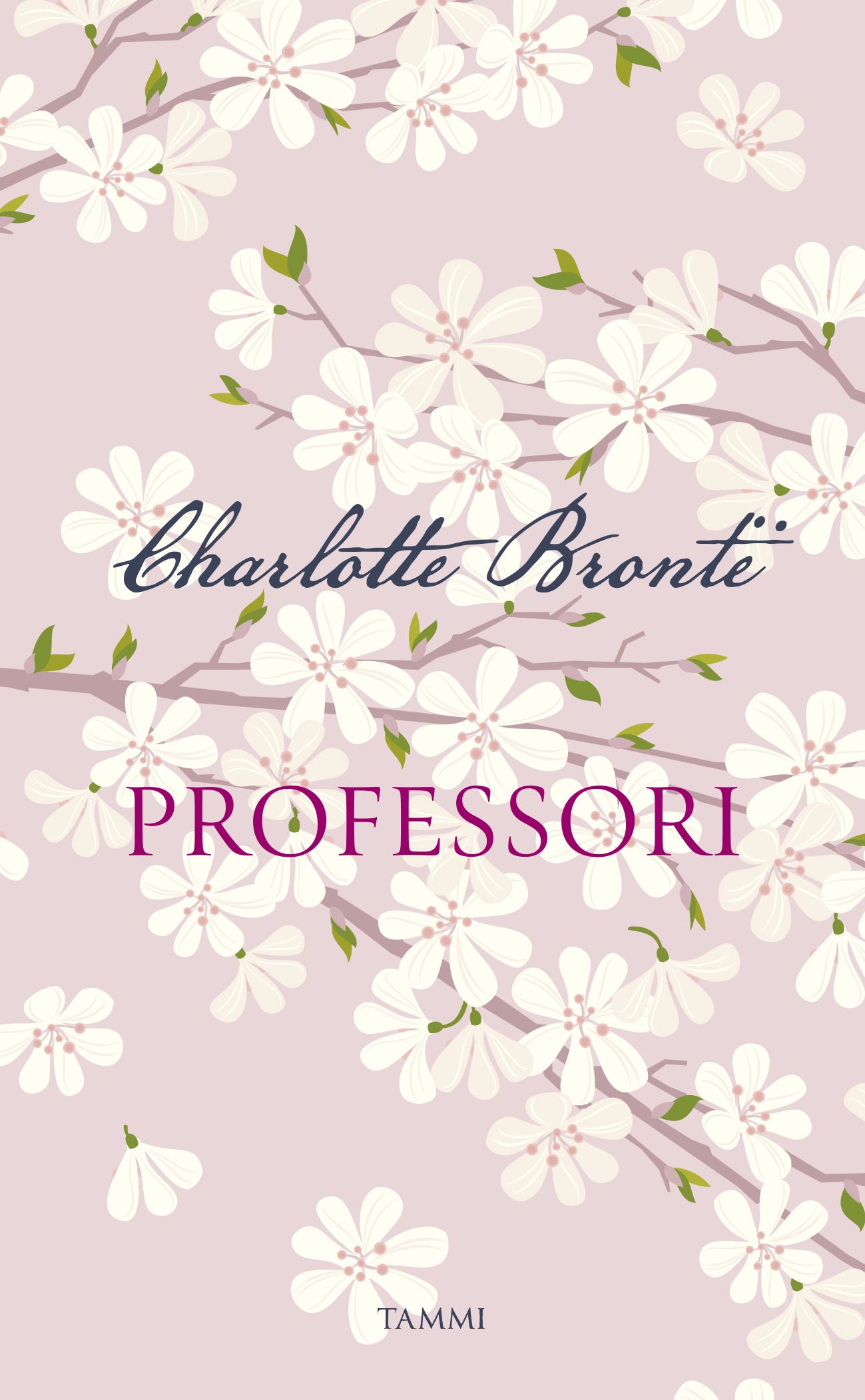 Kirjailijan Charlotte Bronte käytetty kirja Professori