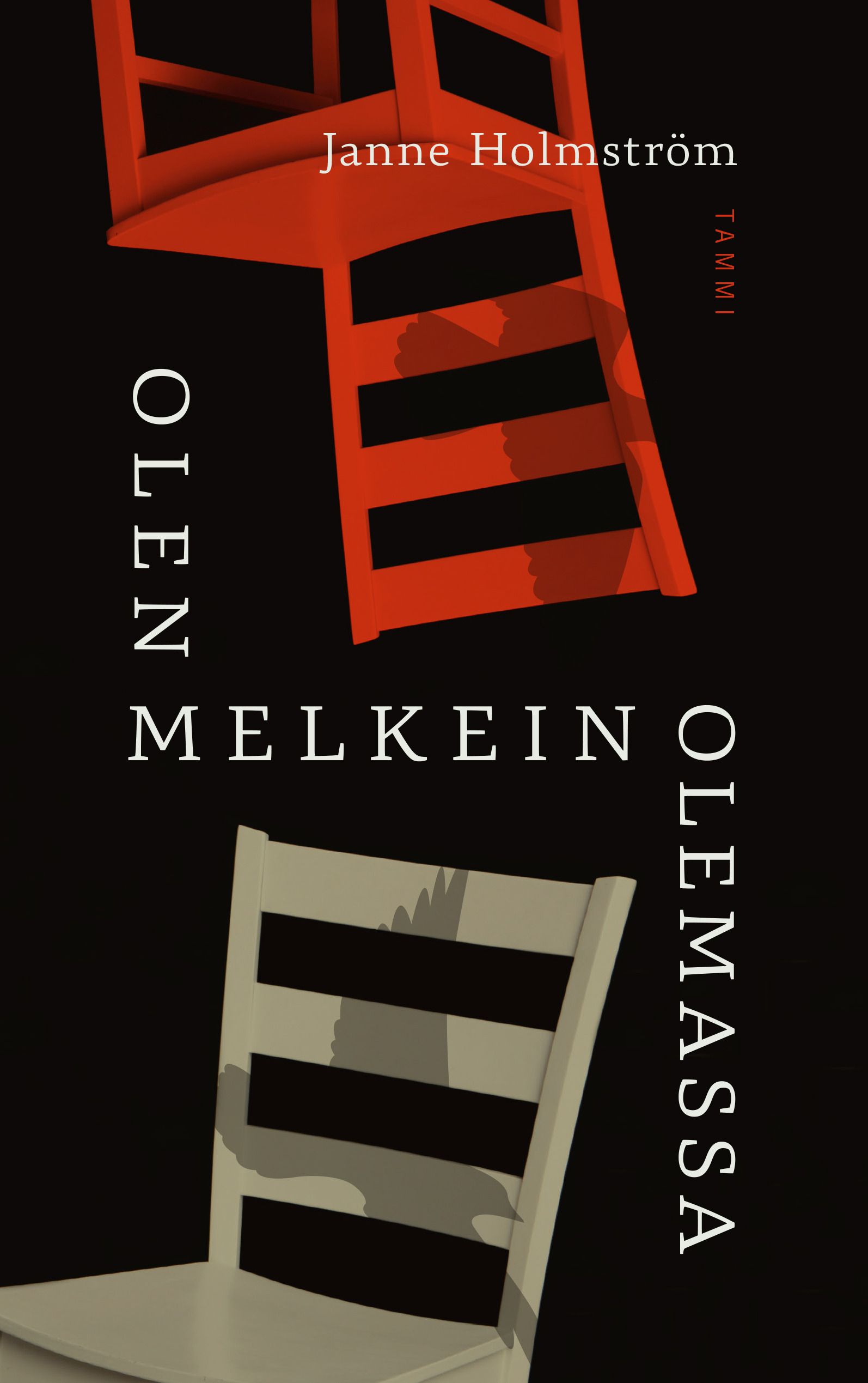 Janne Holmström : Olen melkein olemassa