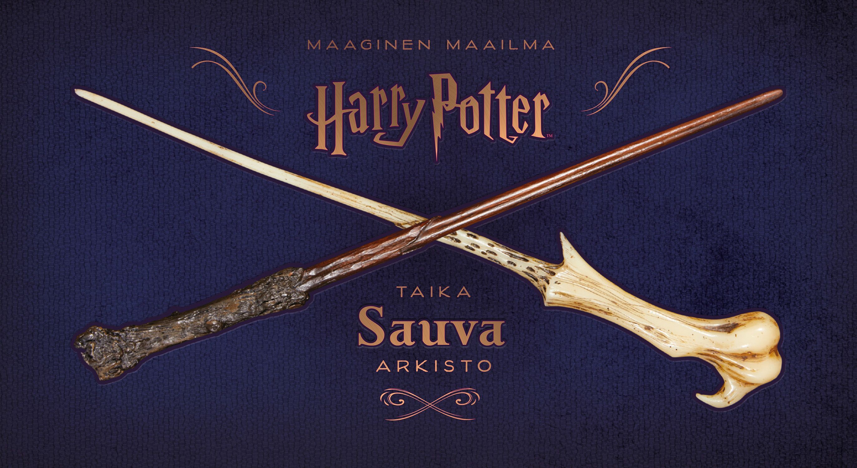 käytetty kirja Harry Potter - Taikasauva-arkisto