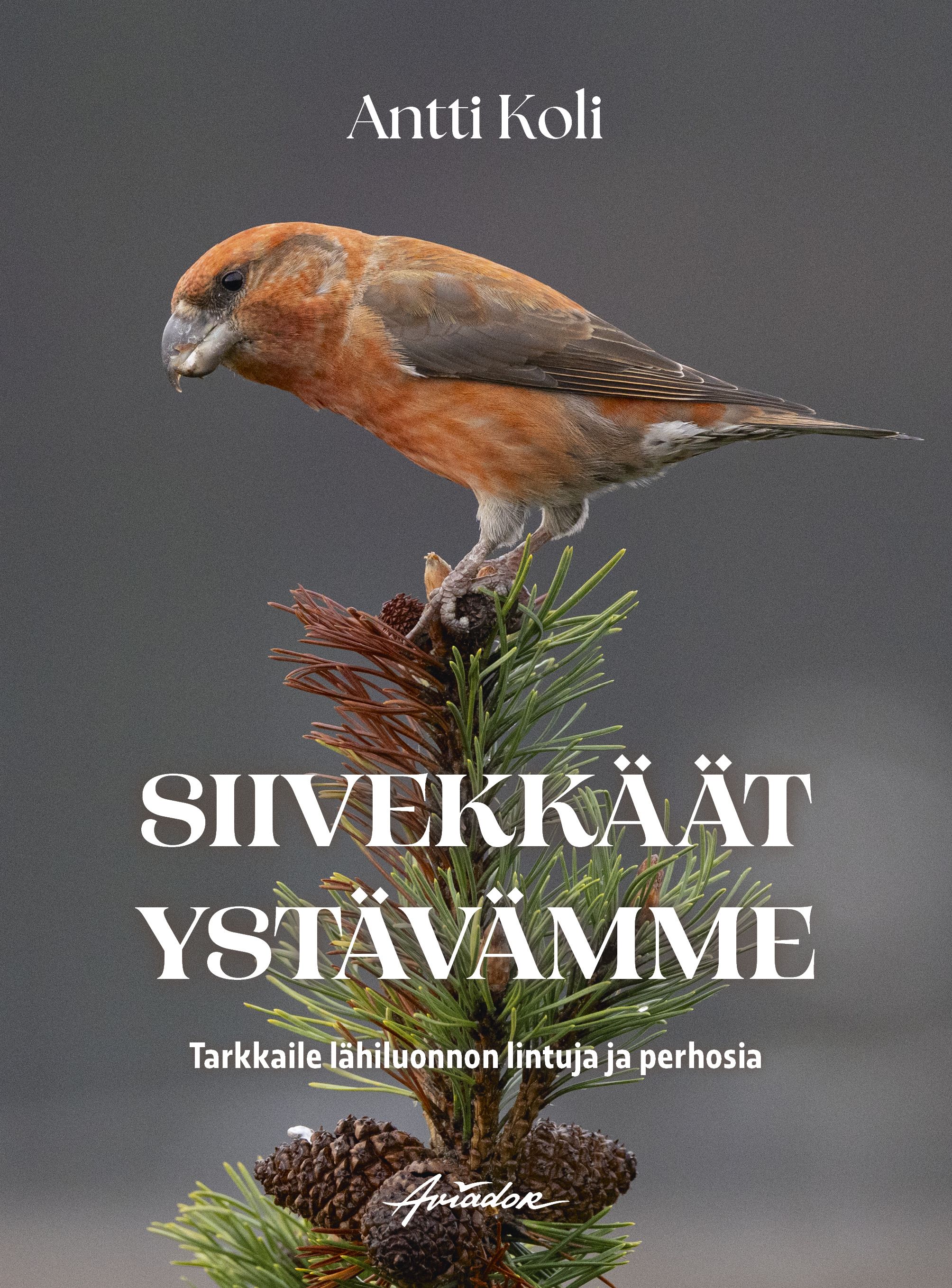 Antti Koli : Siivekkäät ystävämme