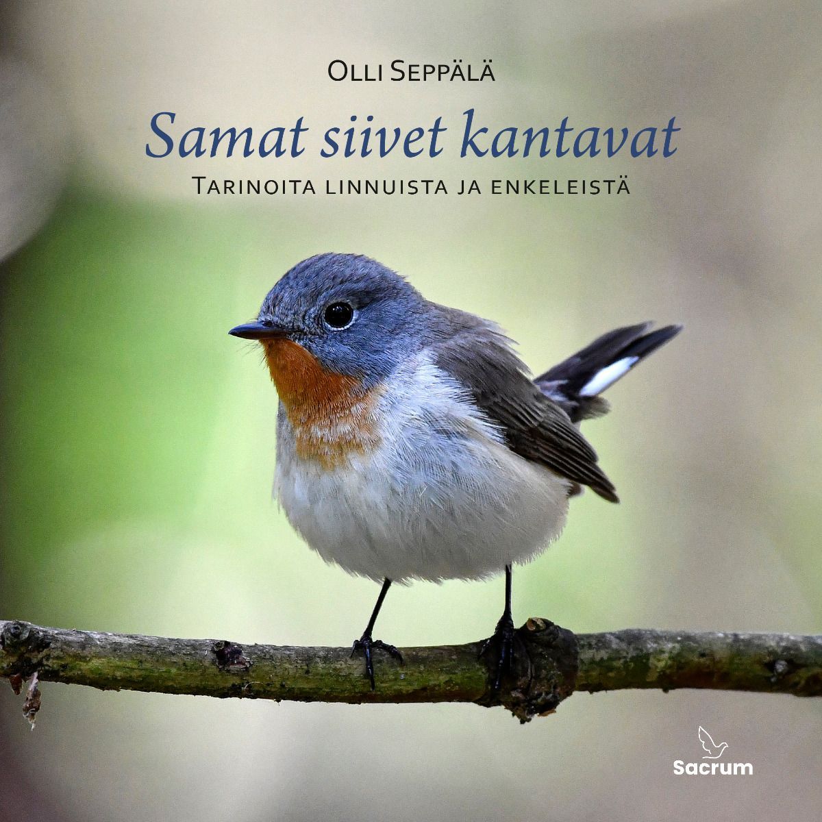 Olli Seppälä : Samat siivet kantavat