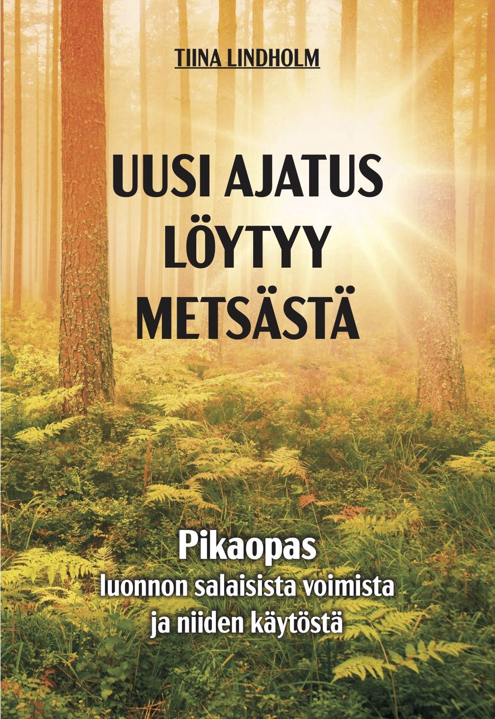 Tiina Lindholm : Uusi ajatus löytyy metsästä