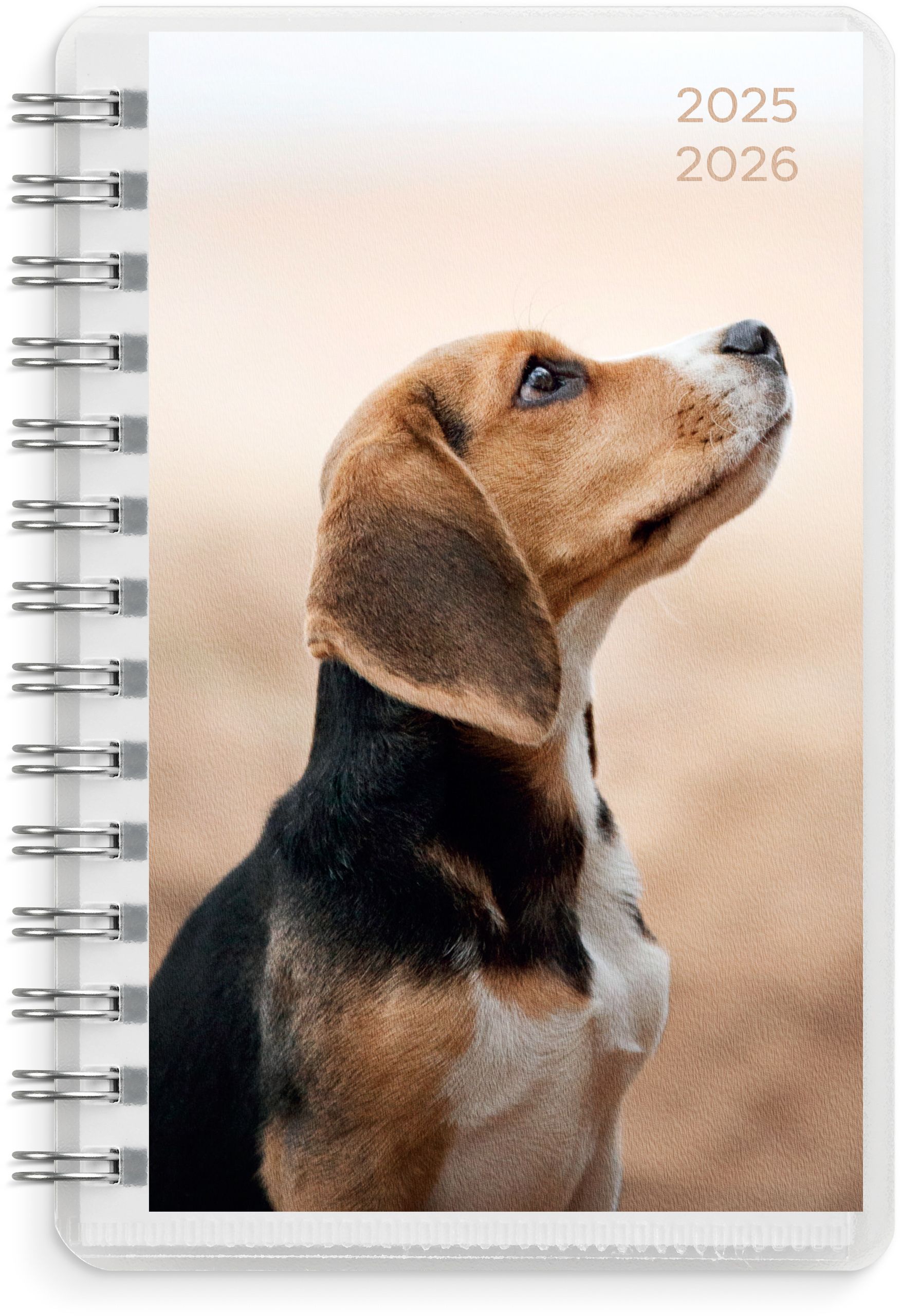 Compact Pets 2025-2026 (lukuvuosikalenteri)