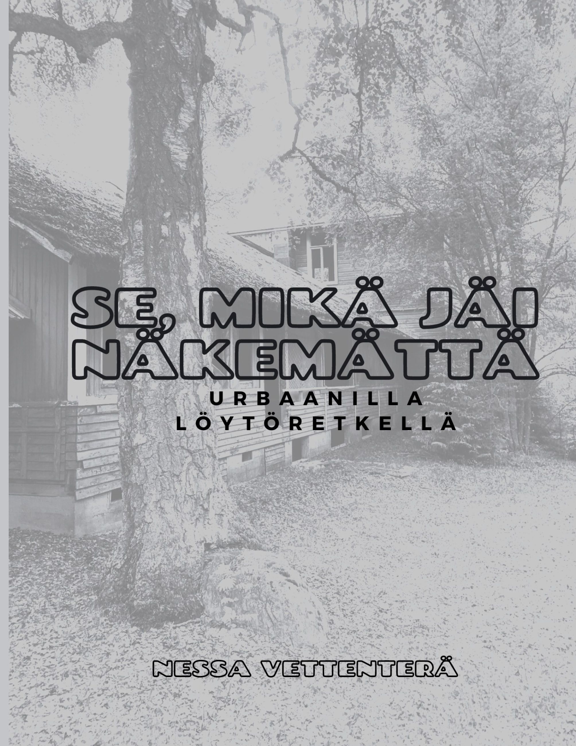Nessa Vettenterä : Se, mikä jäi näkemättä