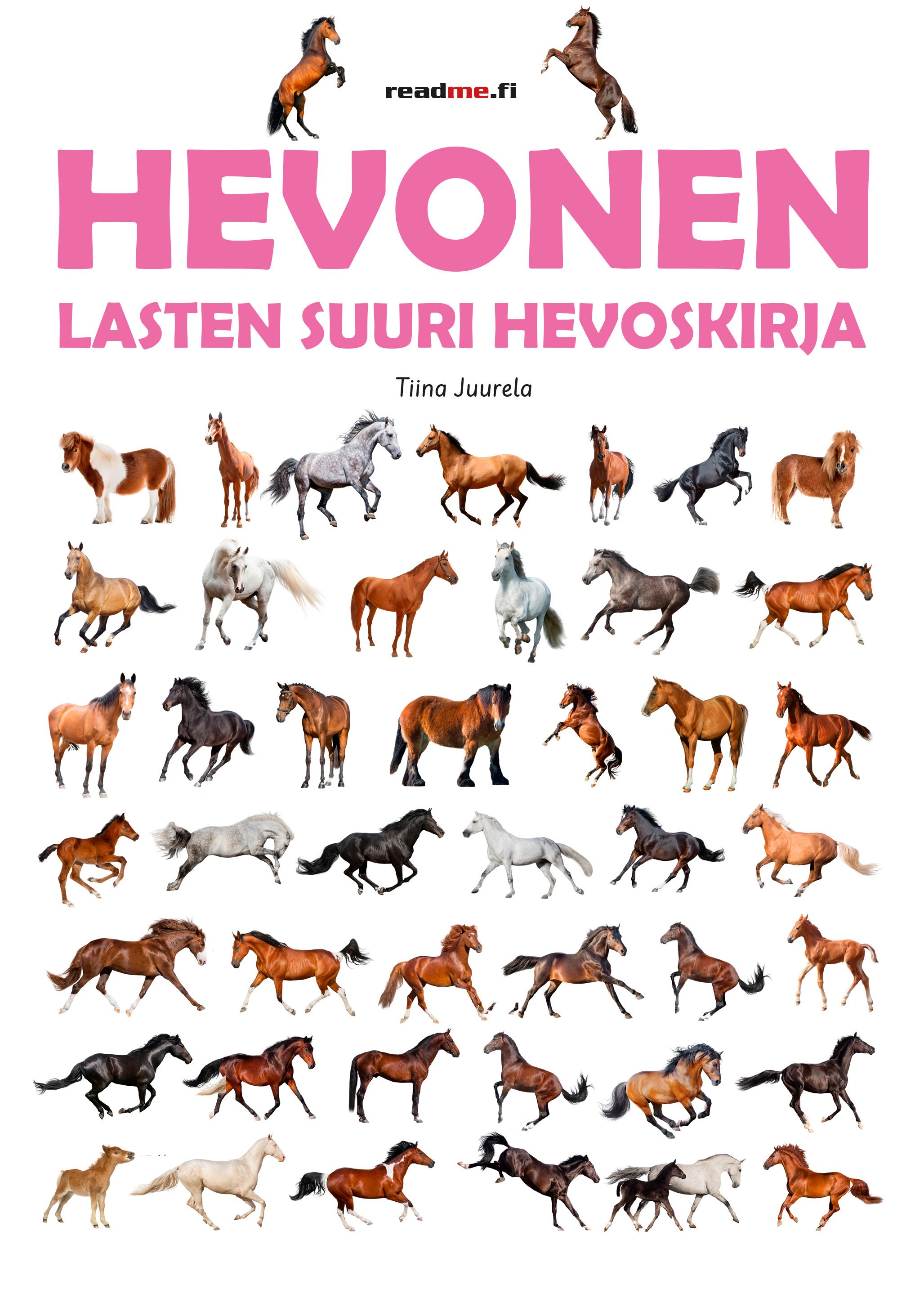 Tiina Juurela : Hevonen - Lasten suuri hevoskirja