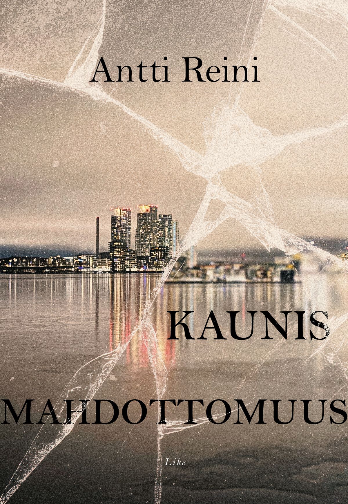 Antti Reini : Kaunis mahdottomuus