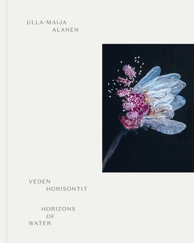 Ulla-Maija Alanen & Susanna Pettersson & Juhani Pallasmaa : Veden horisontit - Horizons of water